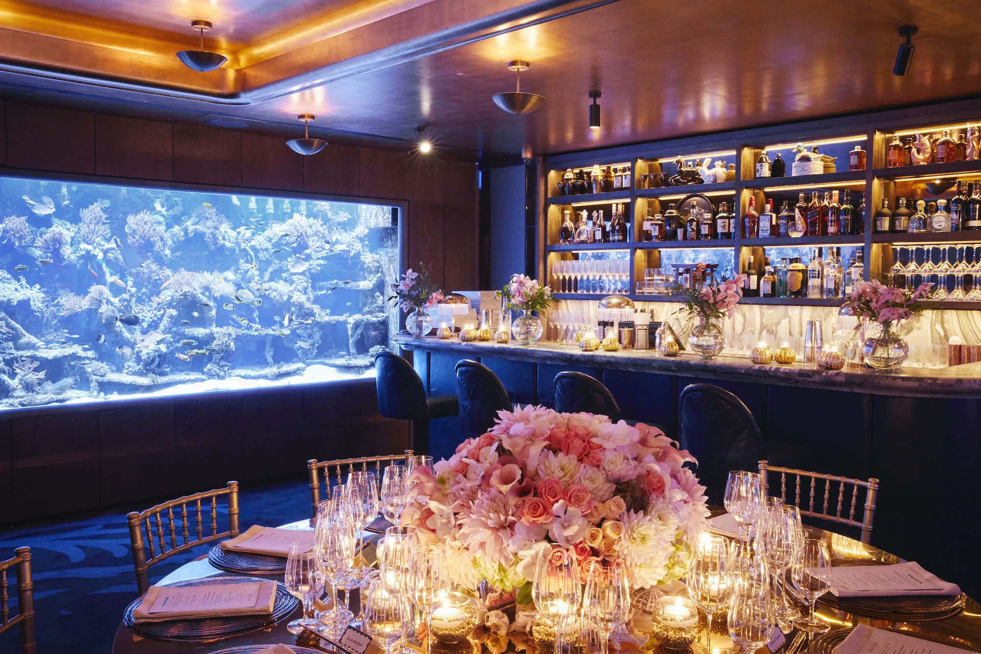 The Coral Reef Room 2