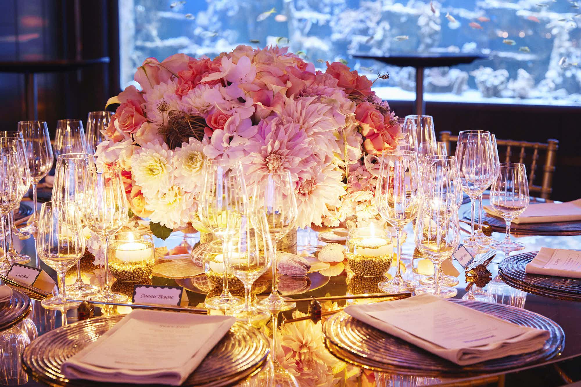 The Coral Reef Room 3