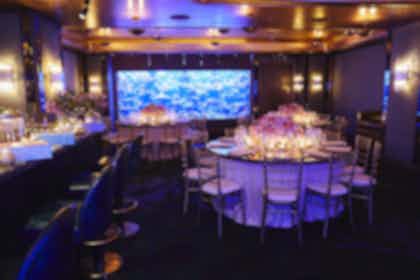 The Coral Reef Room 0