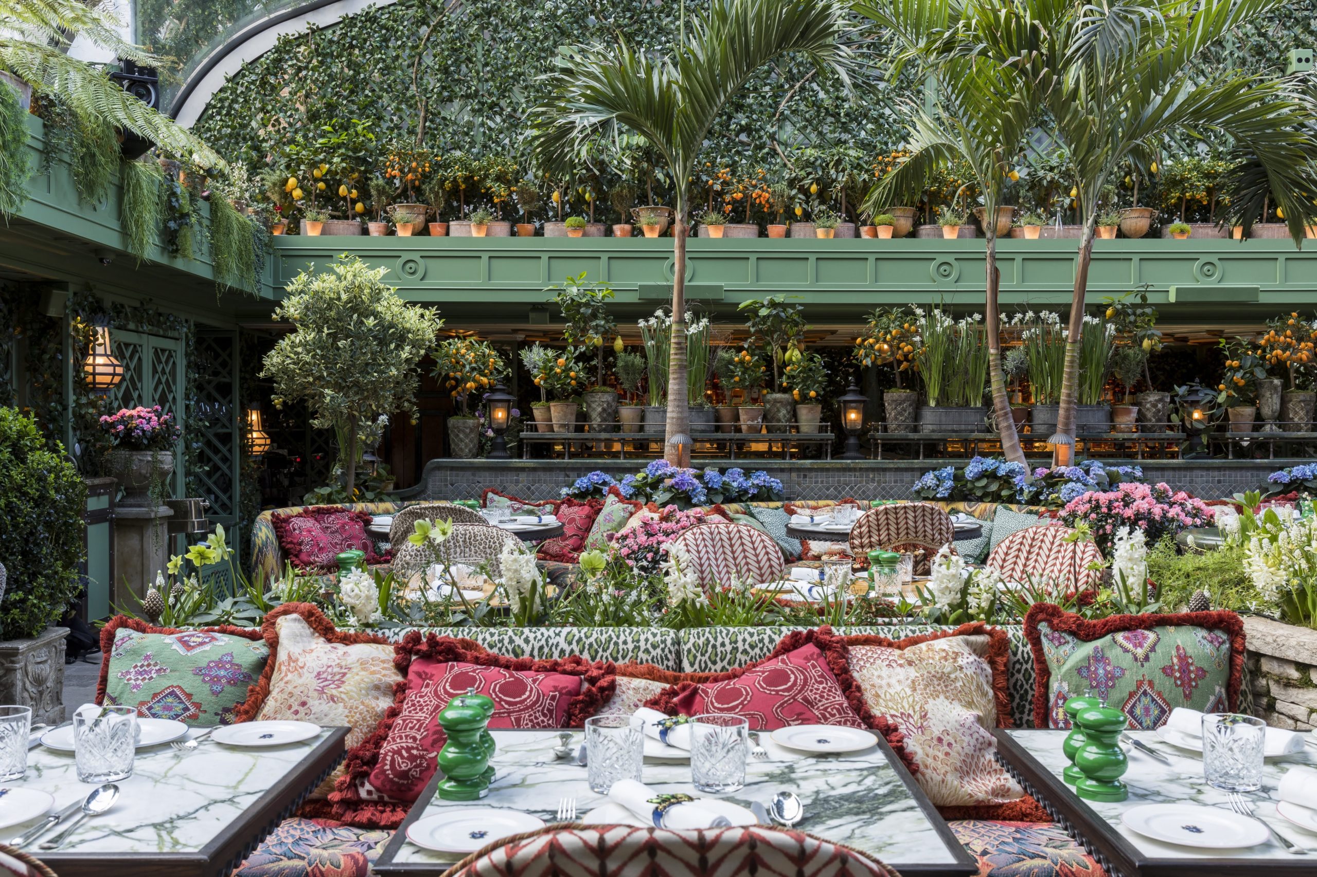 Cirque En Terrasse 2