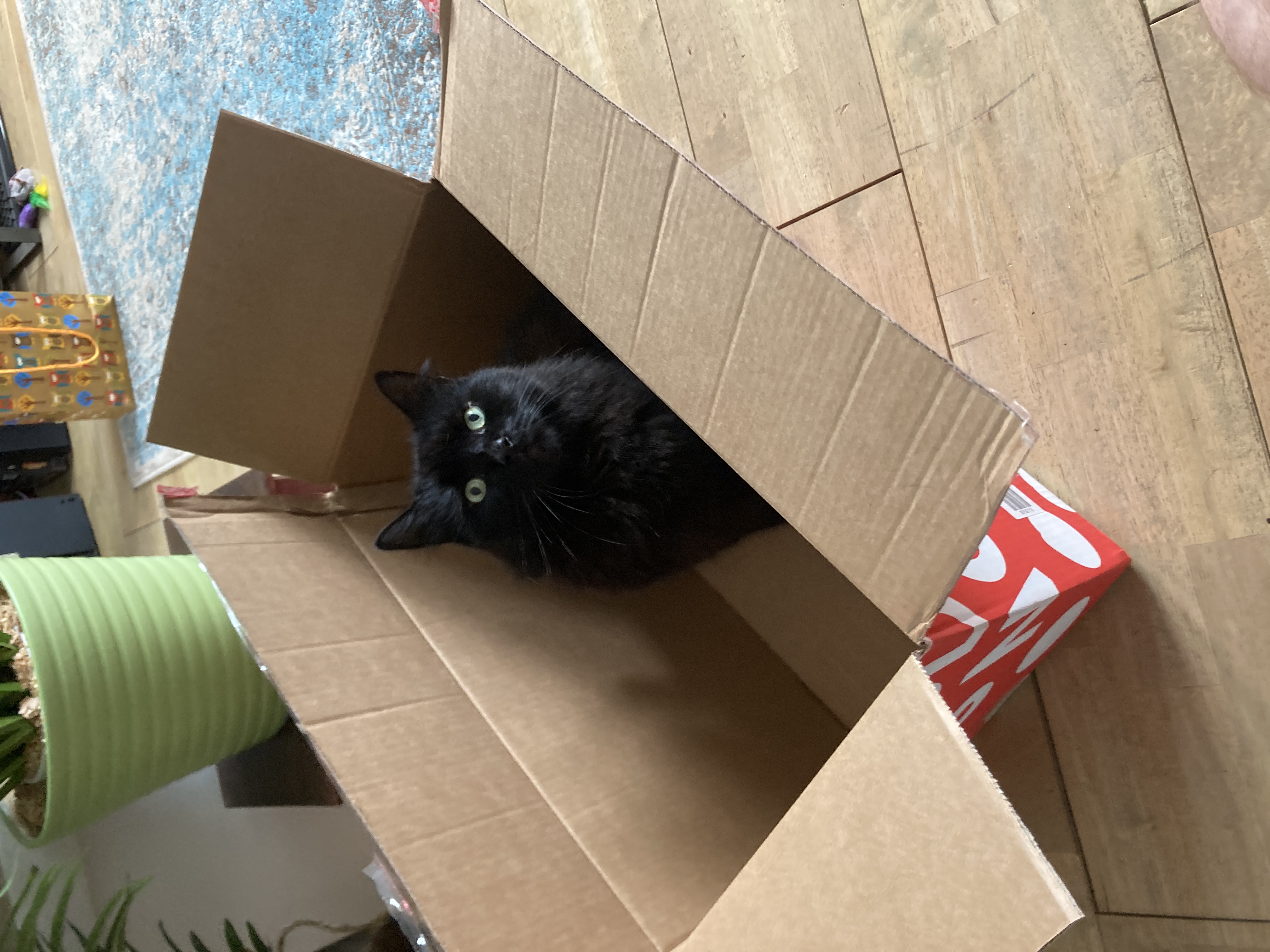 Very coooooolest of rooms 1