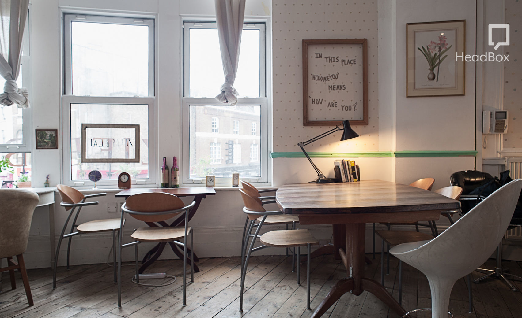 Cabbages and Kings 8