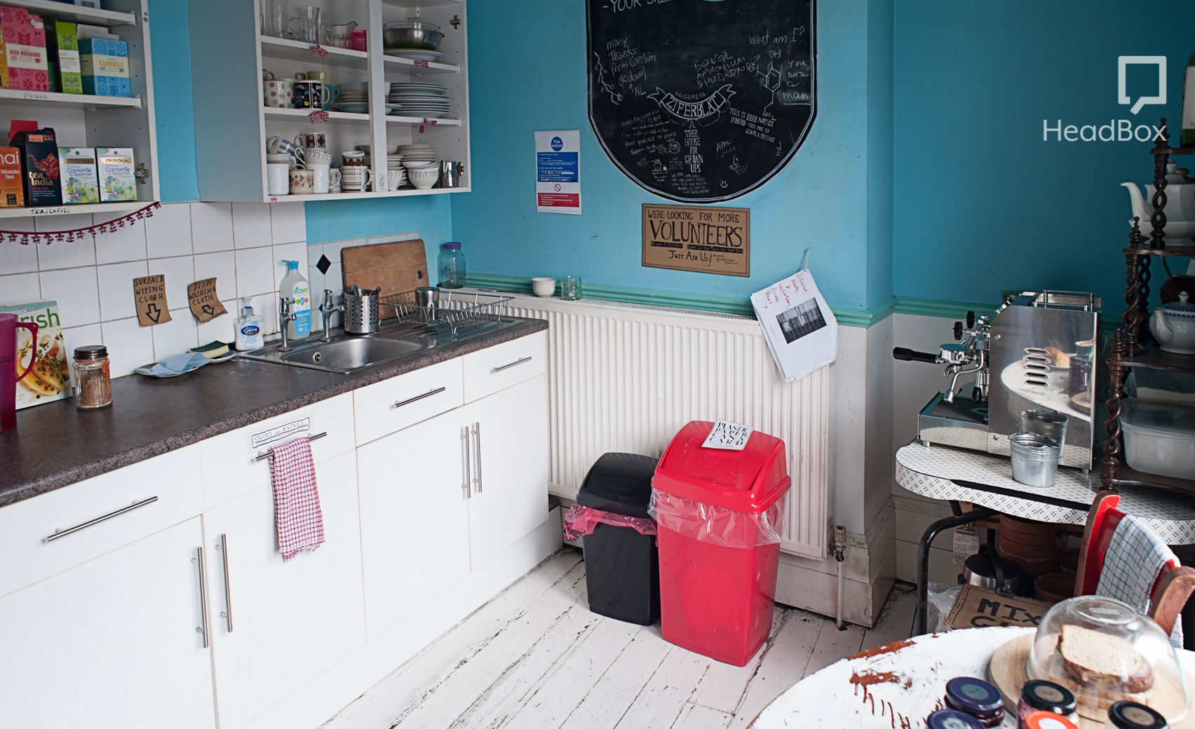 Cabbages and Kings 11