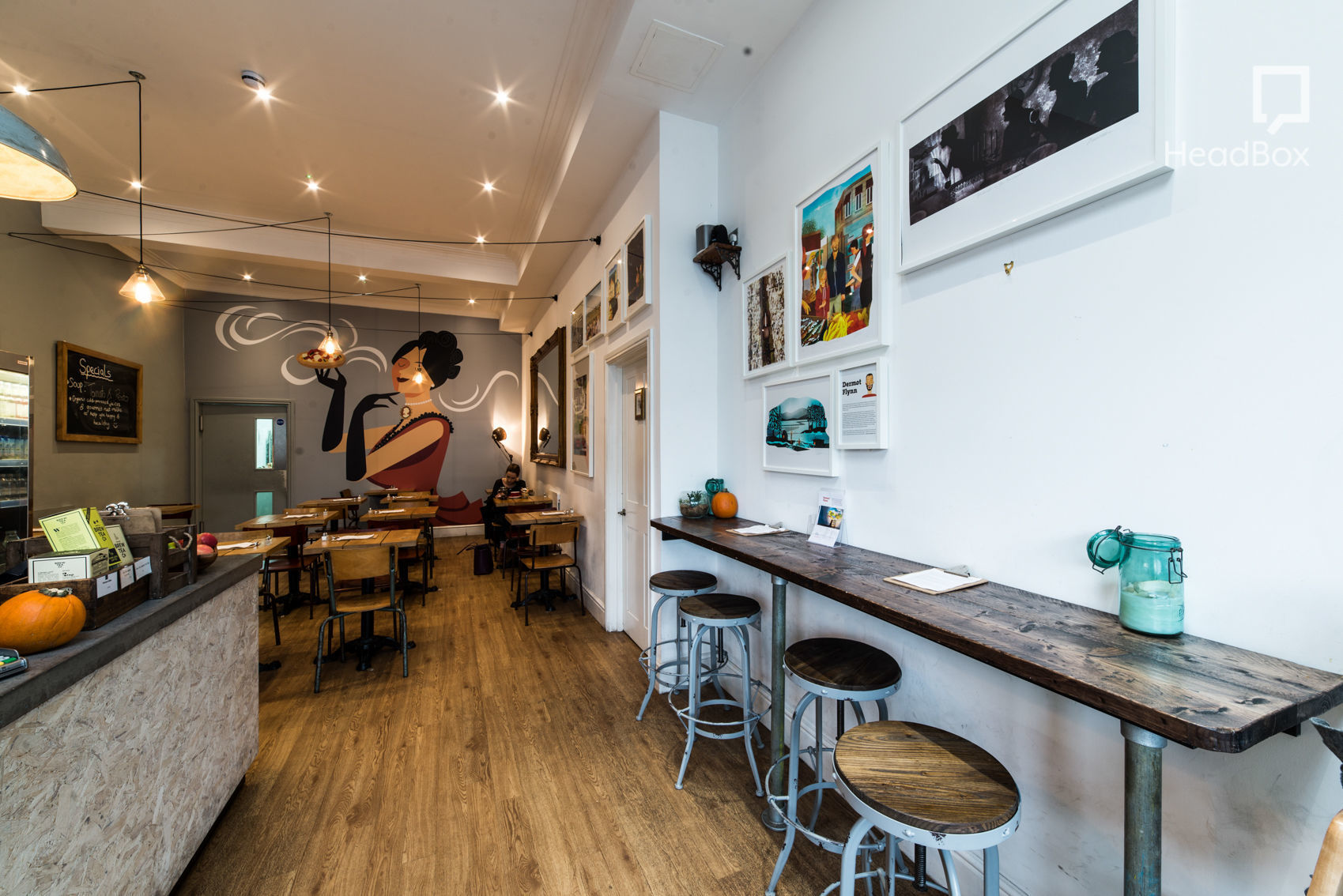 The Monkey's Raincoat 11