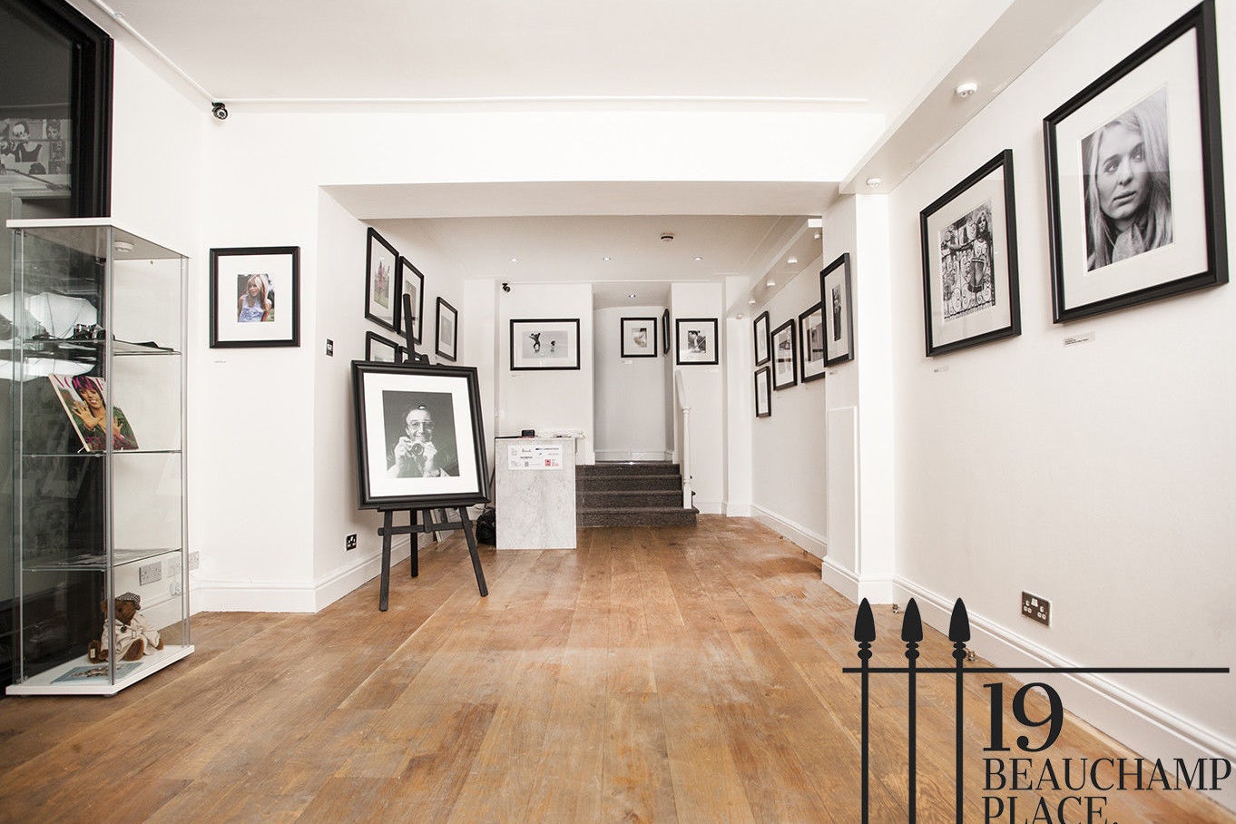 The Sun Also Rises 0