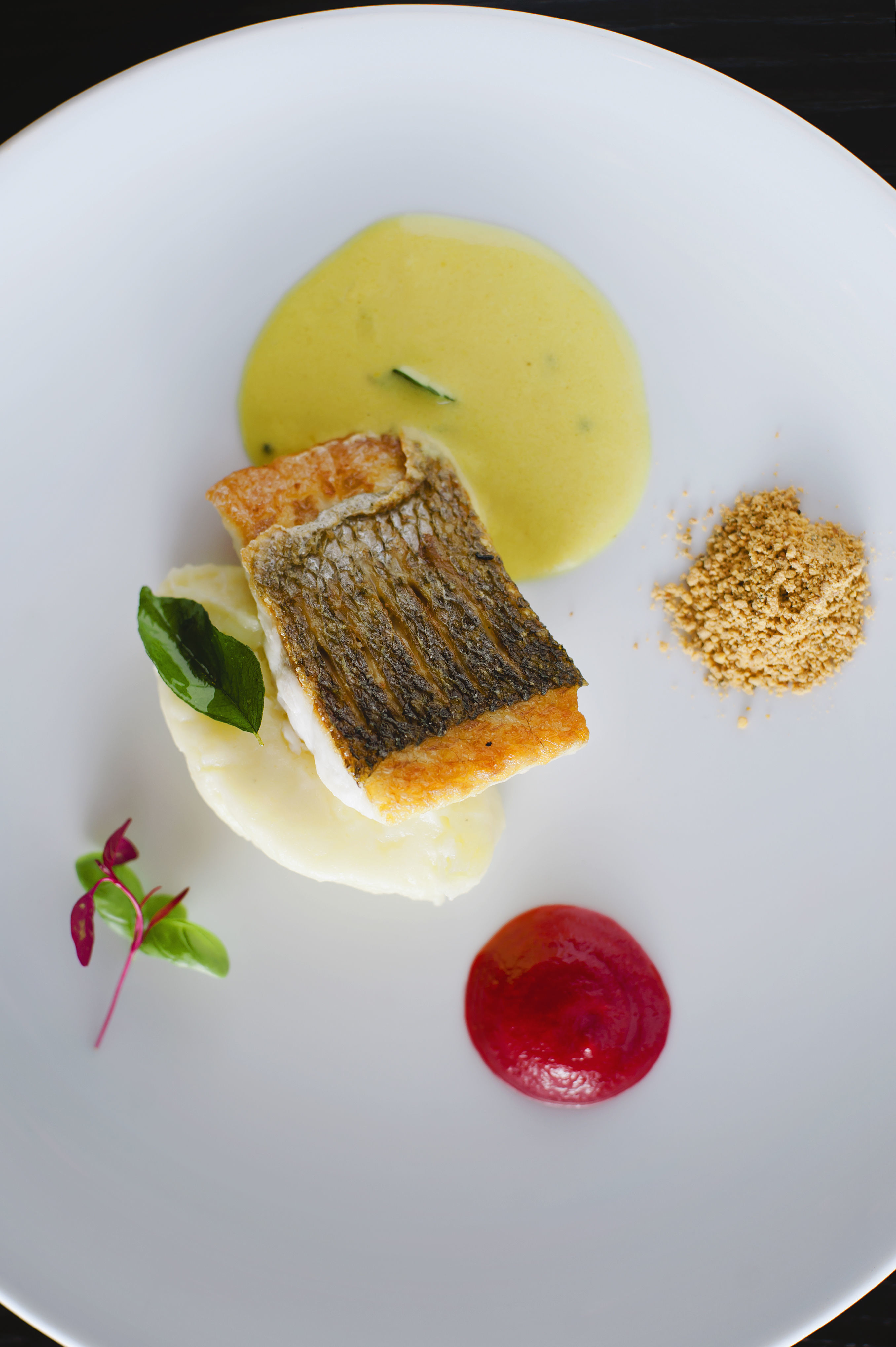 A Summer Bird-Cage 4