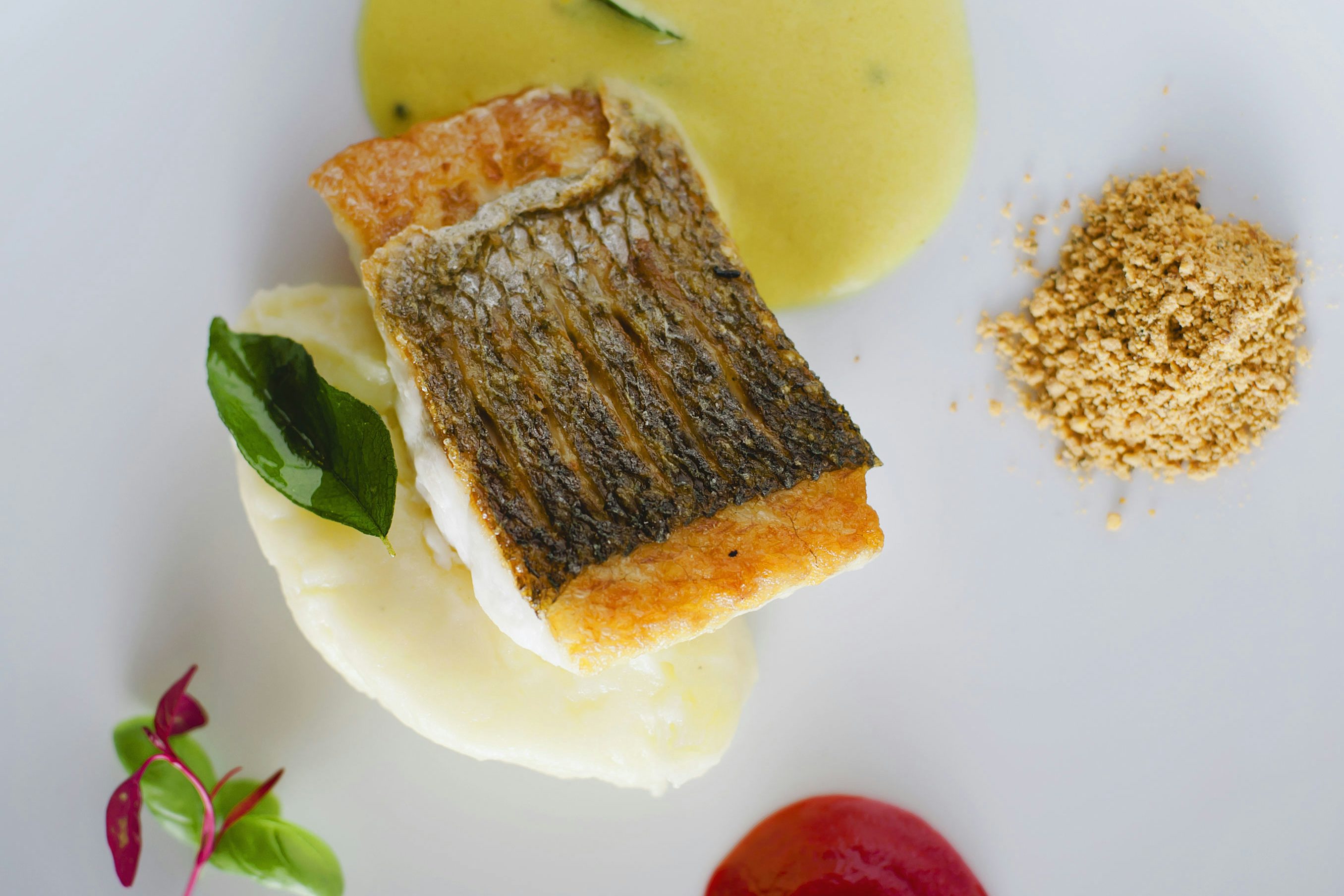 A Summer Bird-Cage 4