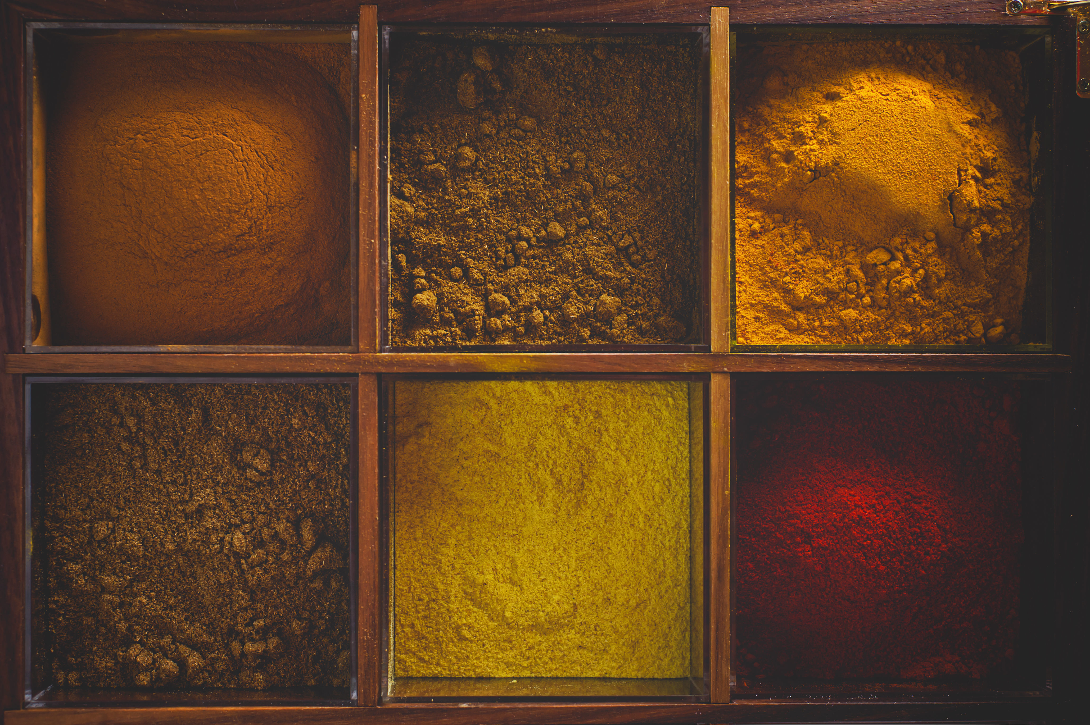 A Summer Bird-Cage 5