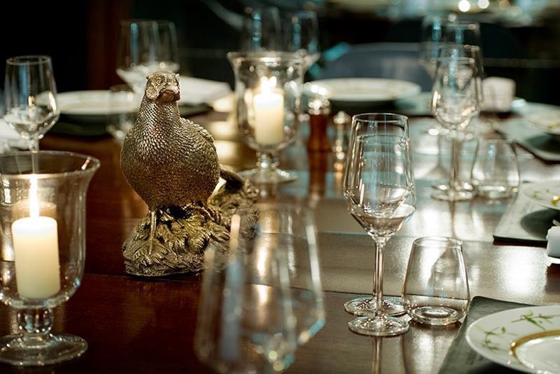 Ring of Bright Water 2