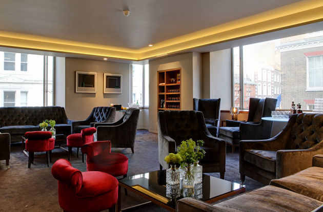 Lilies of the Field 1