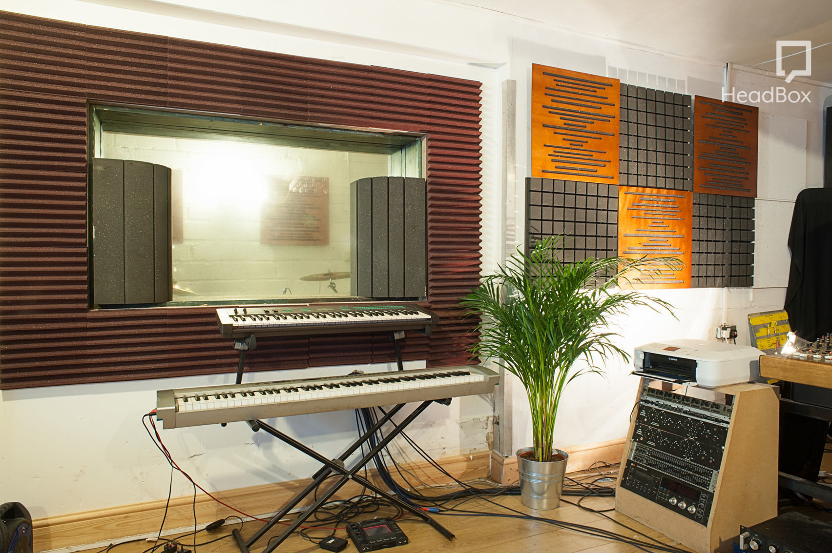 The Stars' Tennis Balls 3