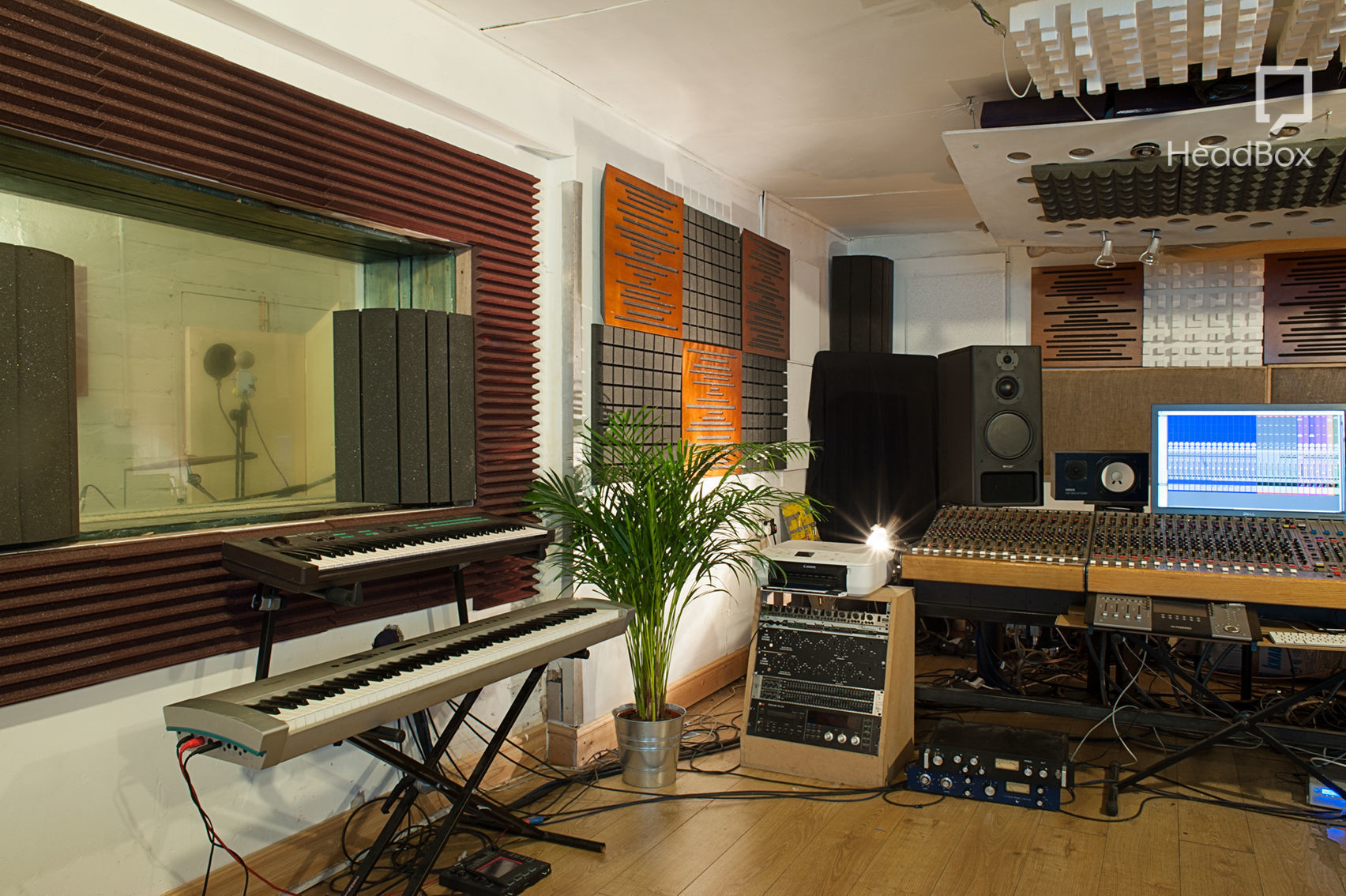 The Stars' Tennis Balls 4