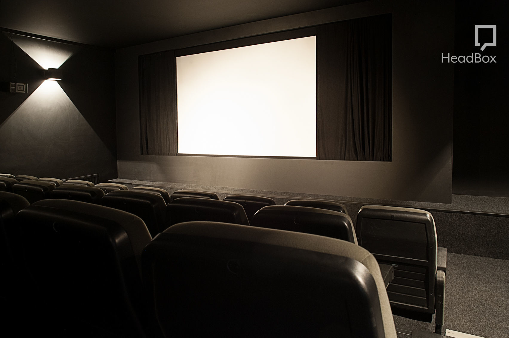 Consider the Lilies 1