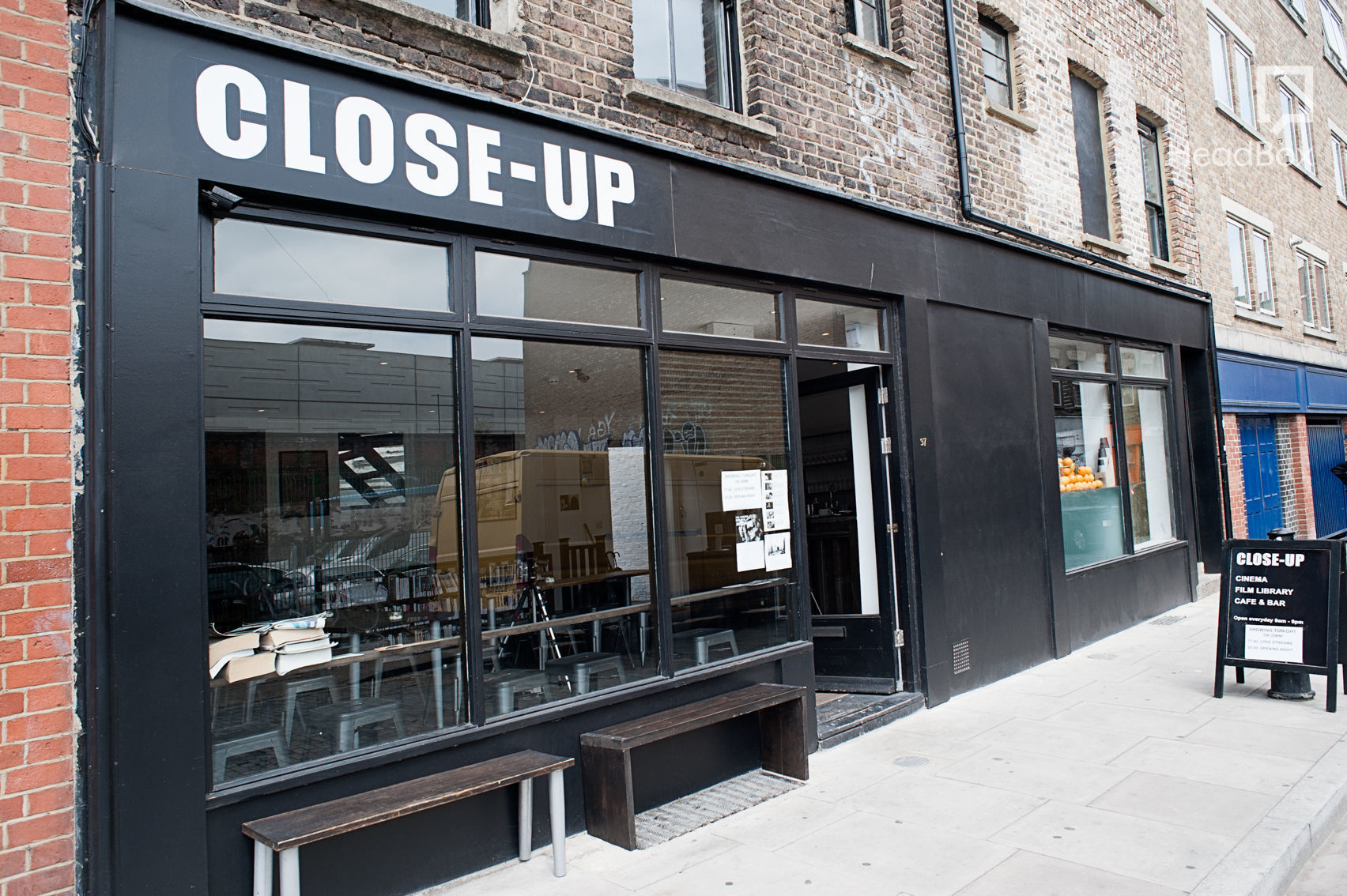 Consider the Lilies 11