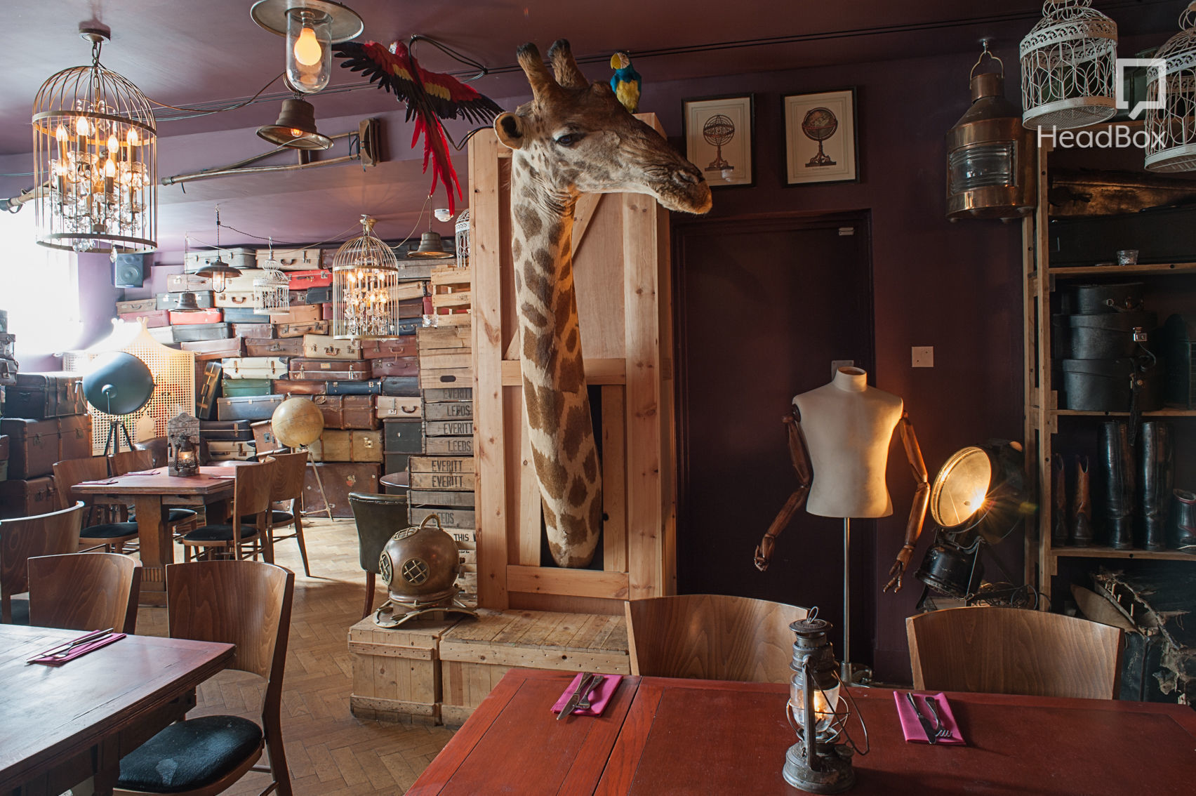 The Wings of the Dove 16