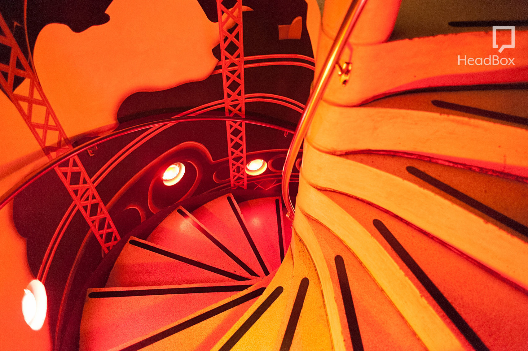 The Wings of the Dove 19