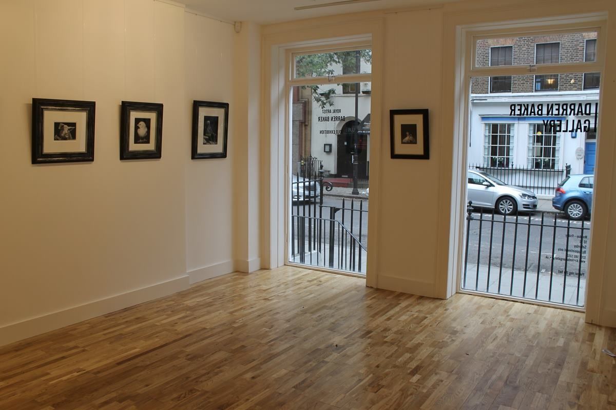 Alone on a Wide, Wide Sea 2