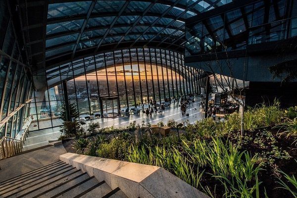 Taming a Sea Horse 1