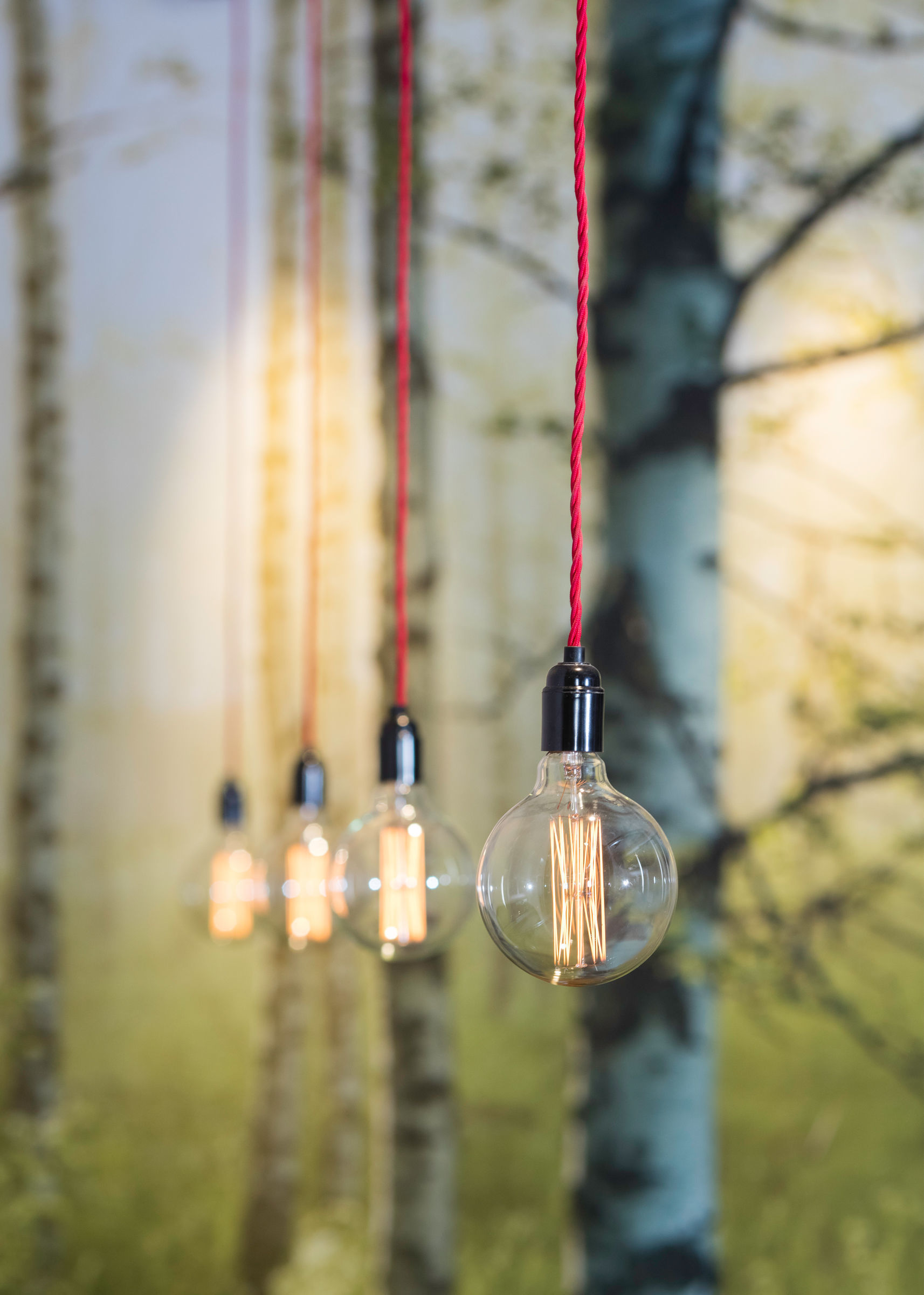 The Other Side of Silence 1