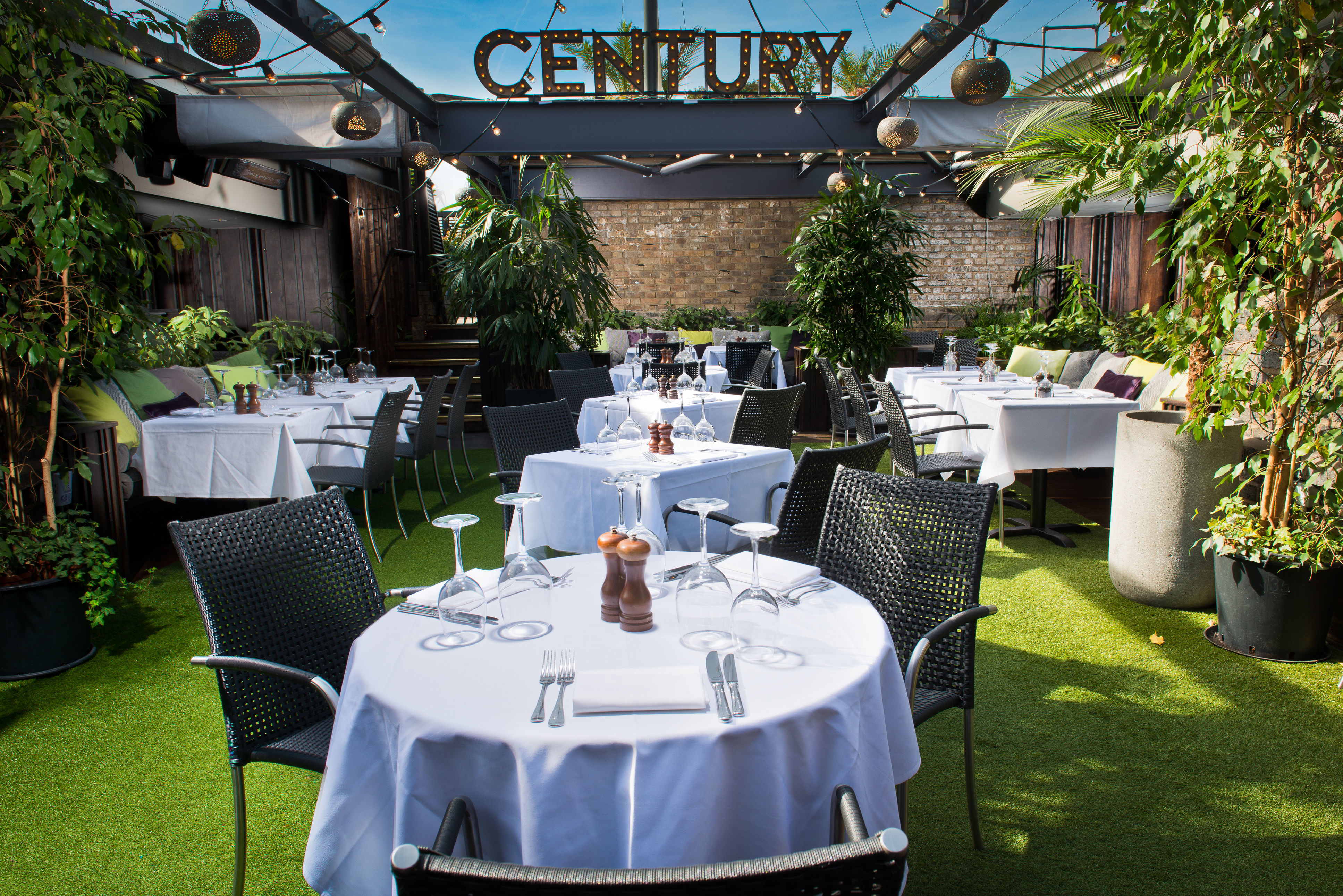 A Summer Bird-Cage 3