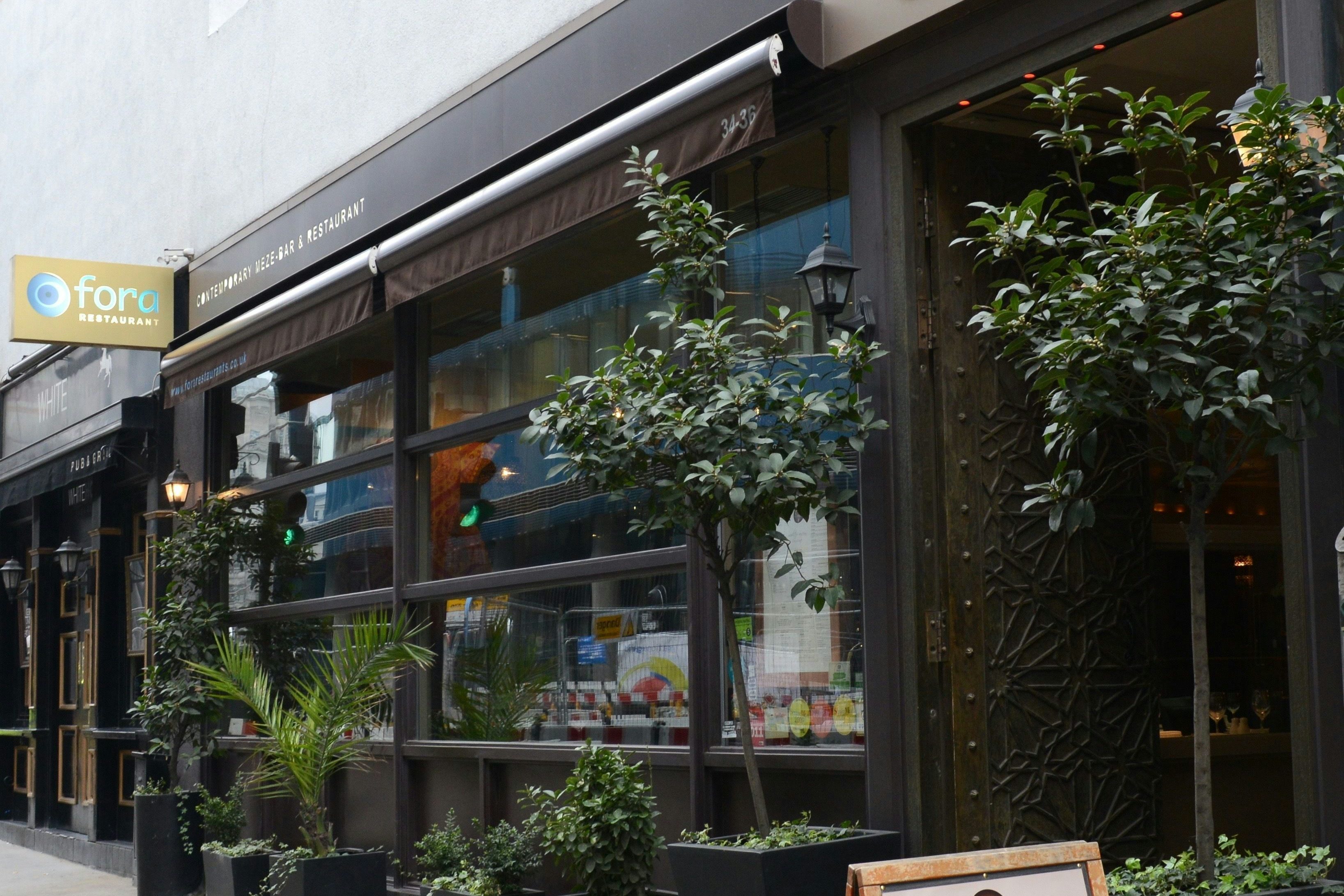 After Many a Summer Dies the Swan 0