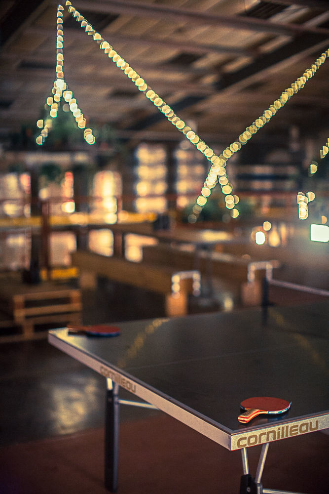 Let Us Now Praise Famous Men 1