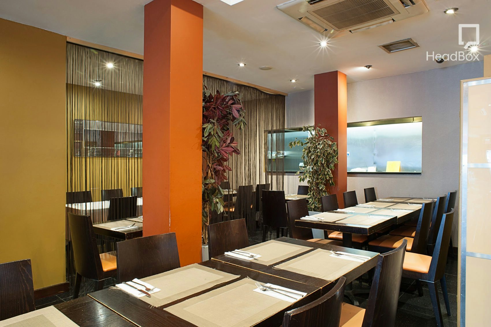 The Glory and the Dream 6