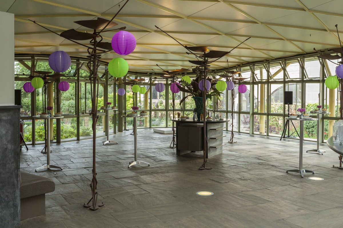 The Green Bay Tree 1