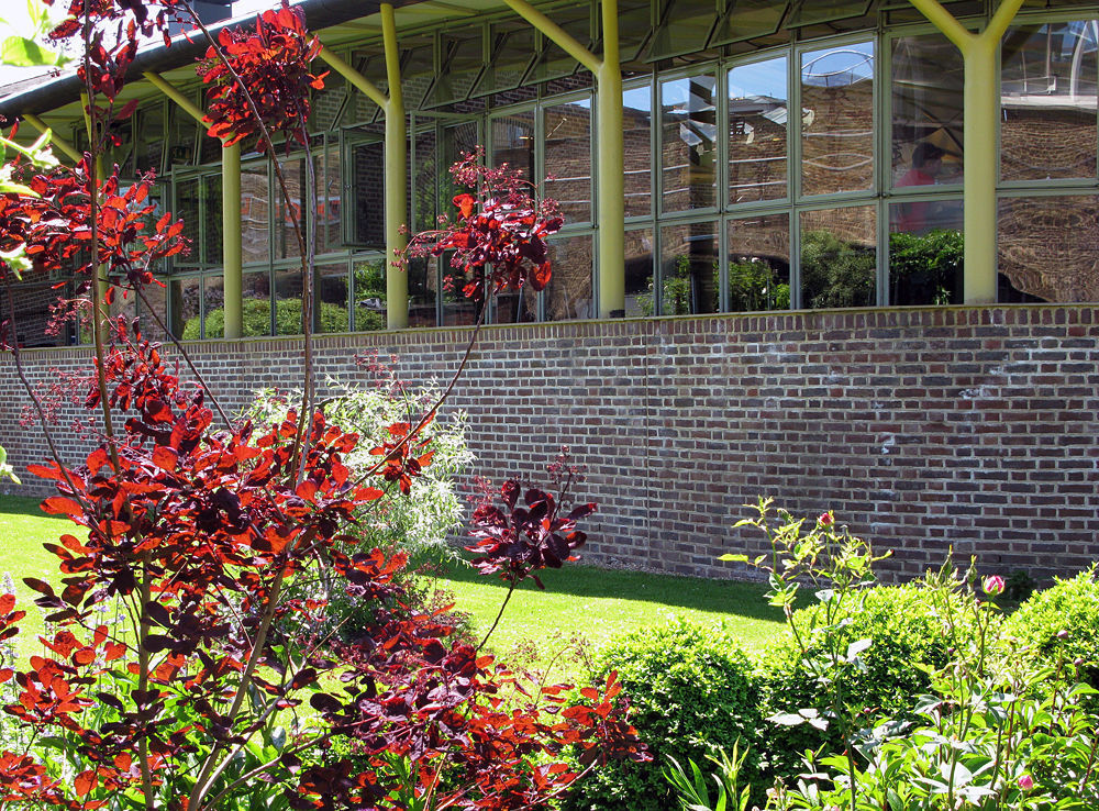 The Green Bay Tree 5