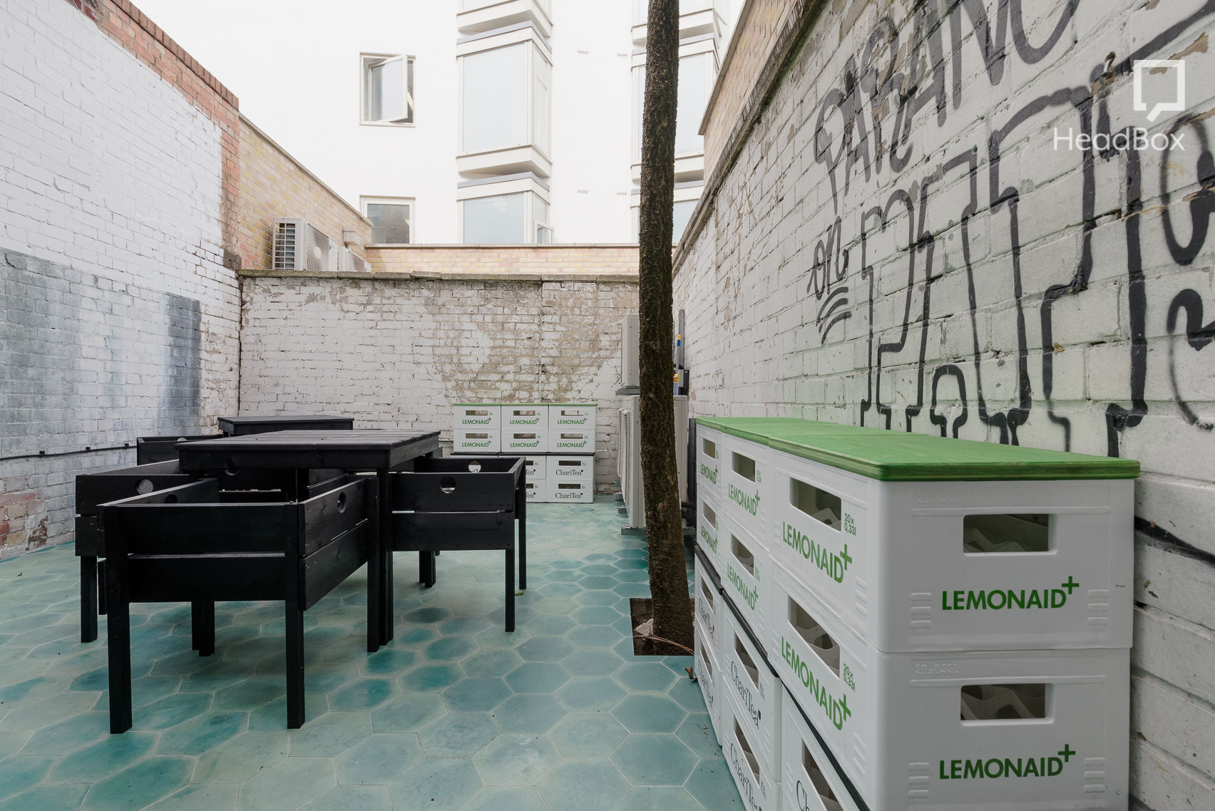 A Confederacy of Dunces 4