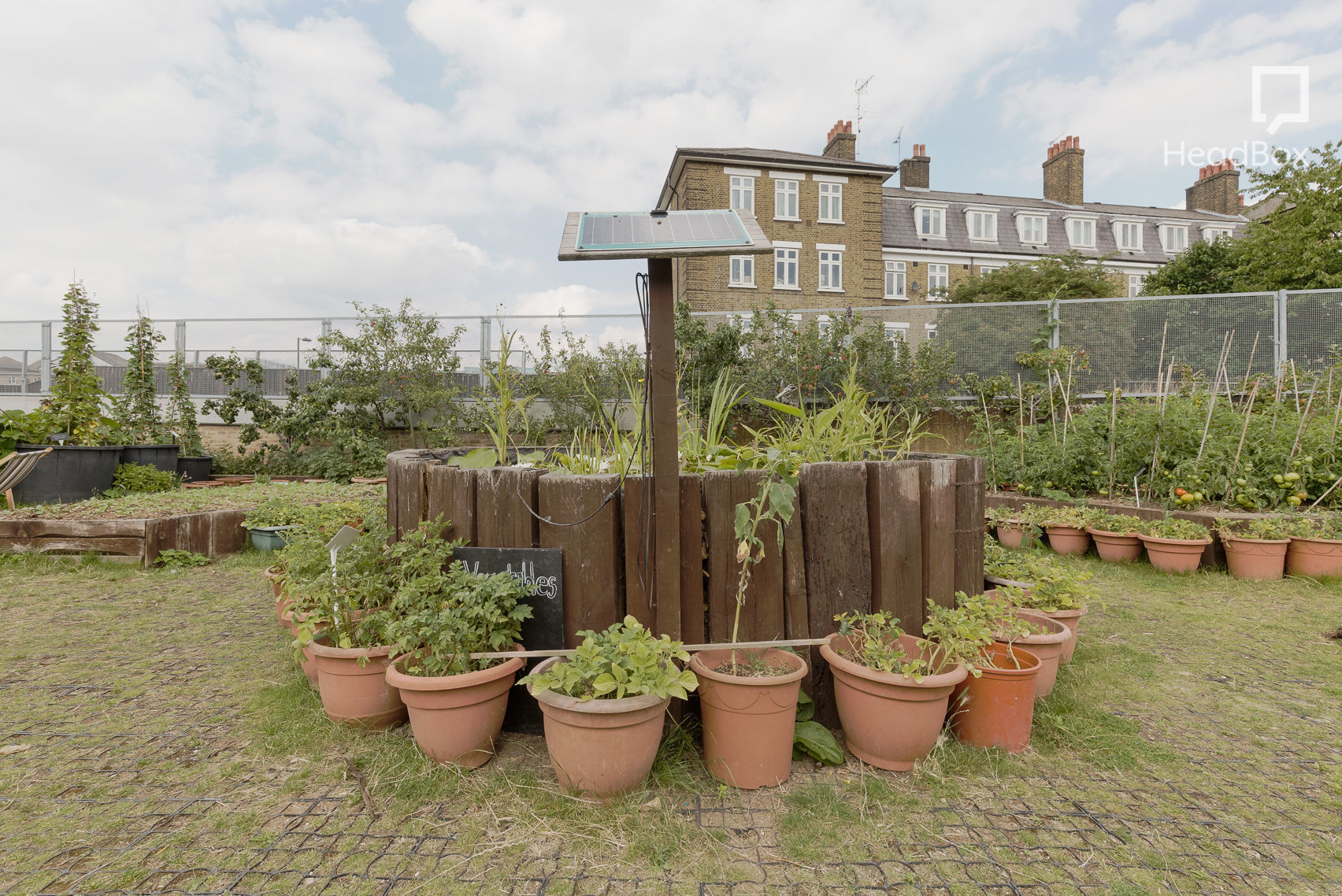 What's Become of Waring 1