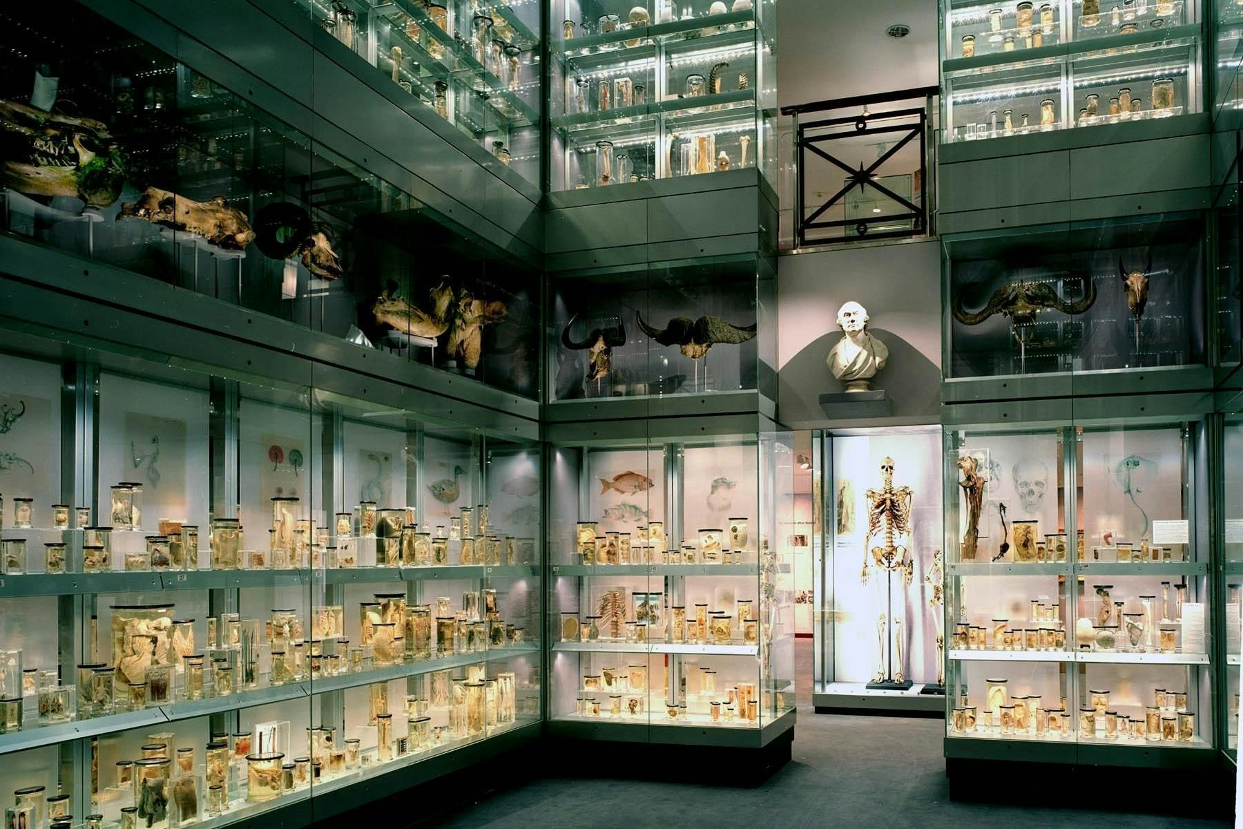 Some Buried Caesar 0