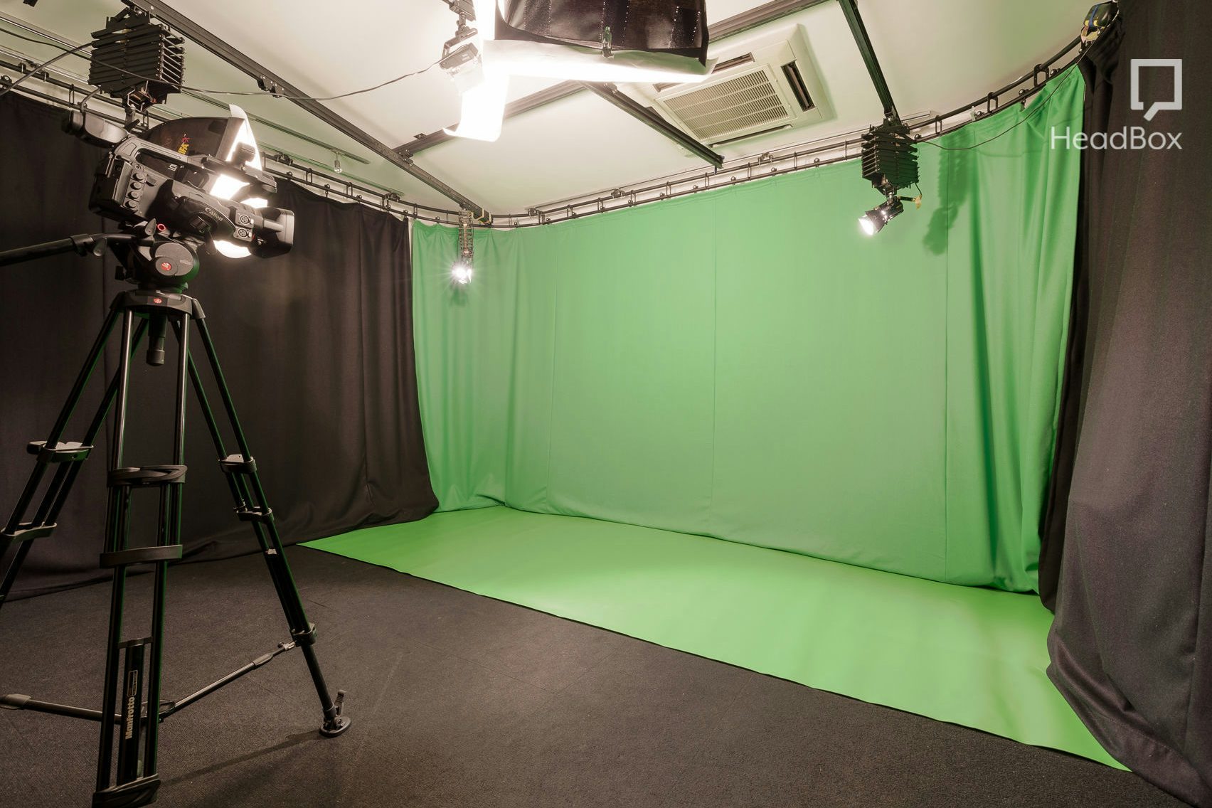 The Wings of the Dove 4