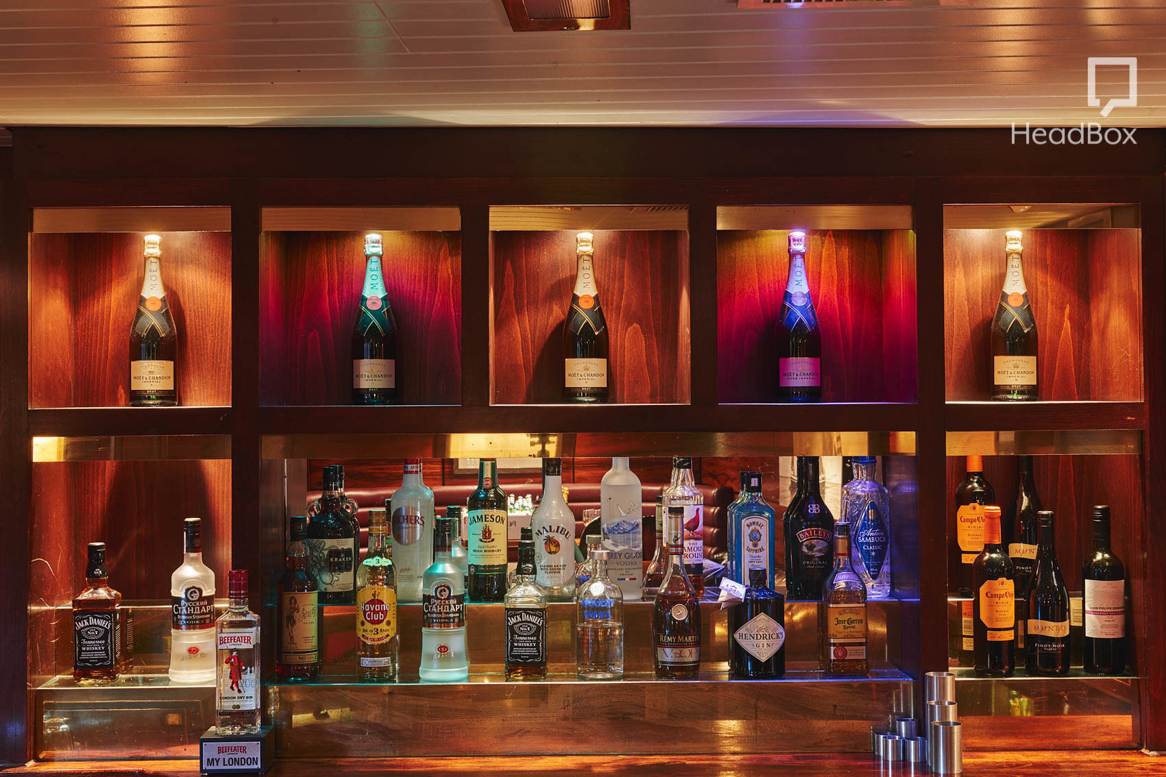 The Stars' Tennis Balls 3