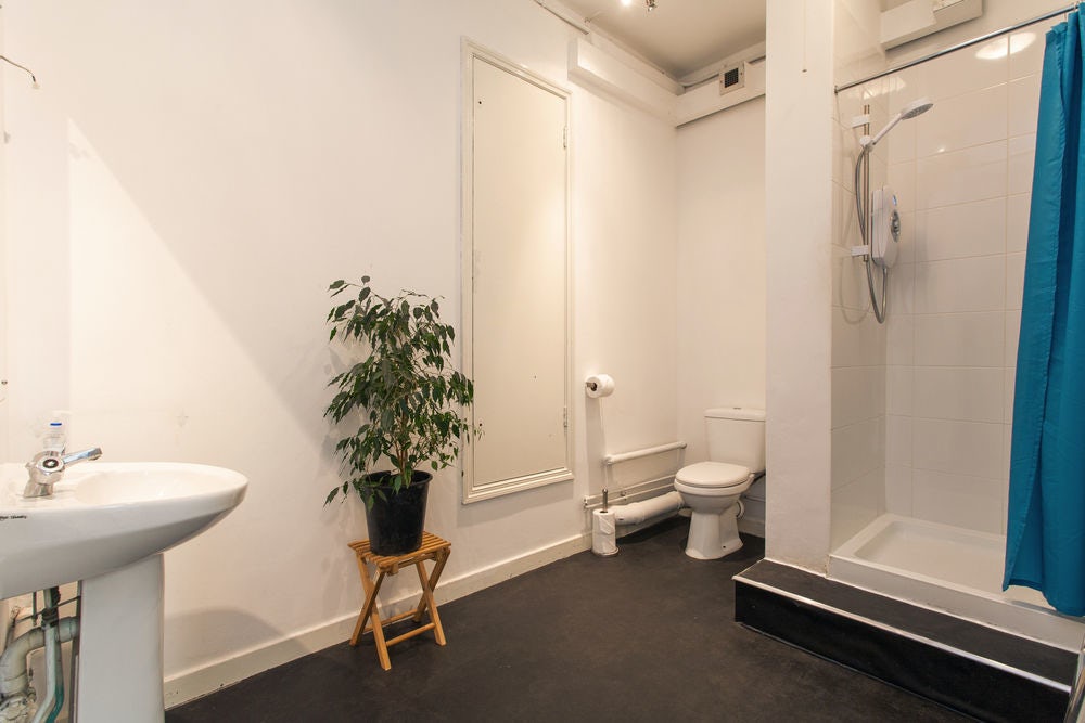 The Wings of the Dove 6