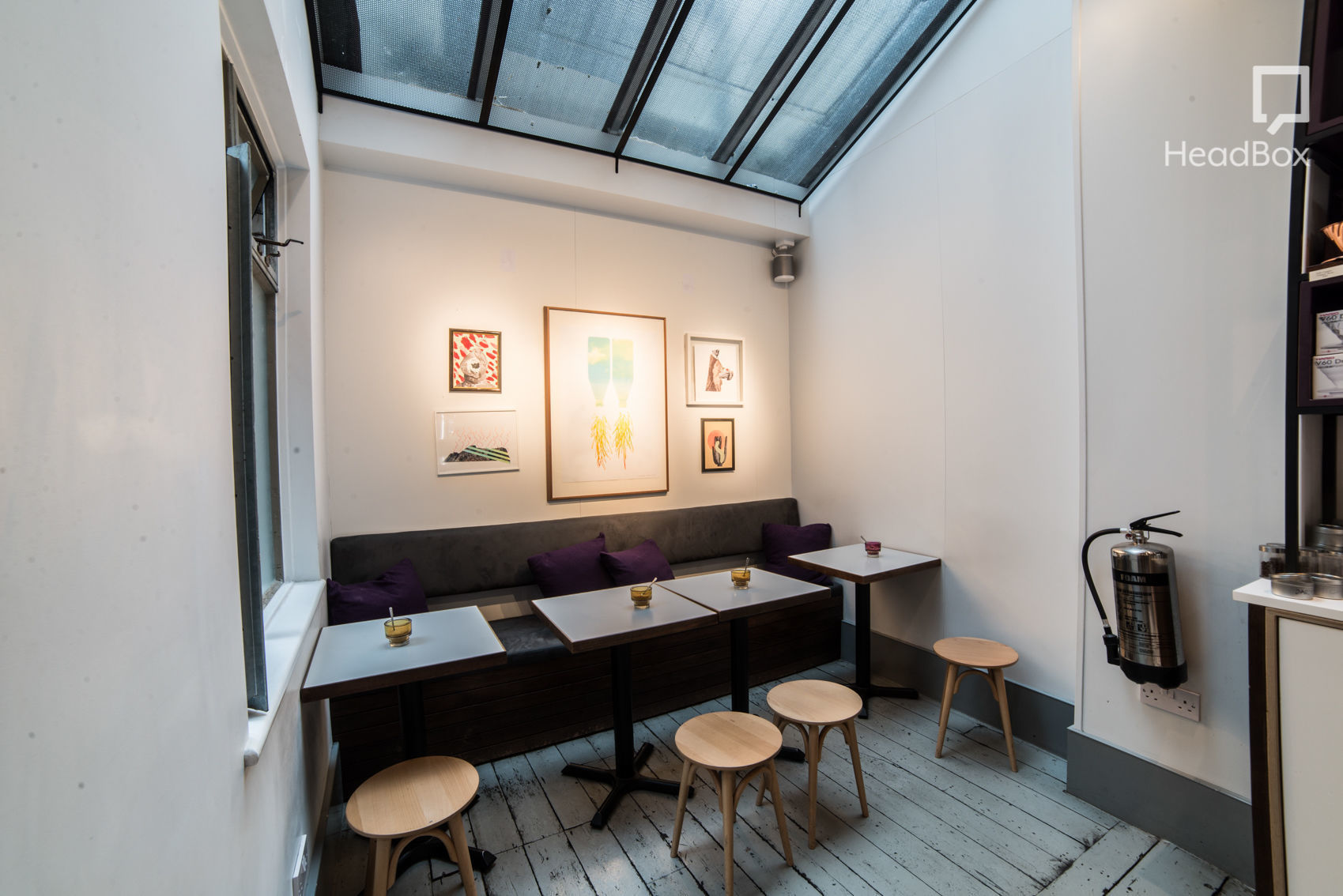 Tender Is the Night 4