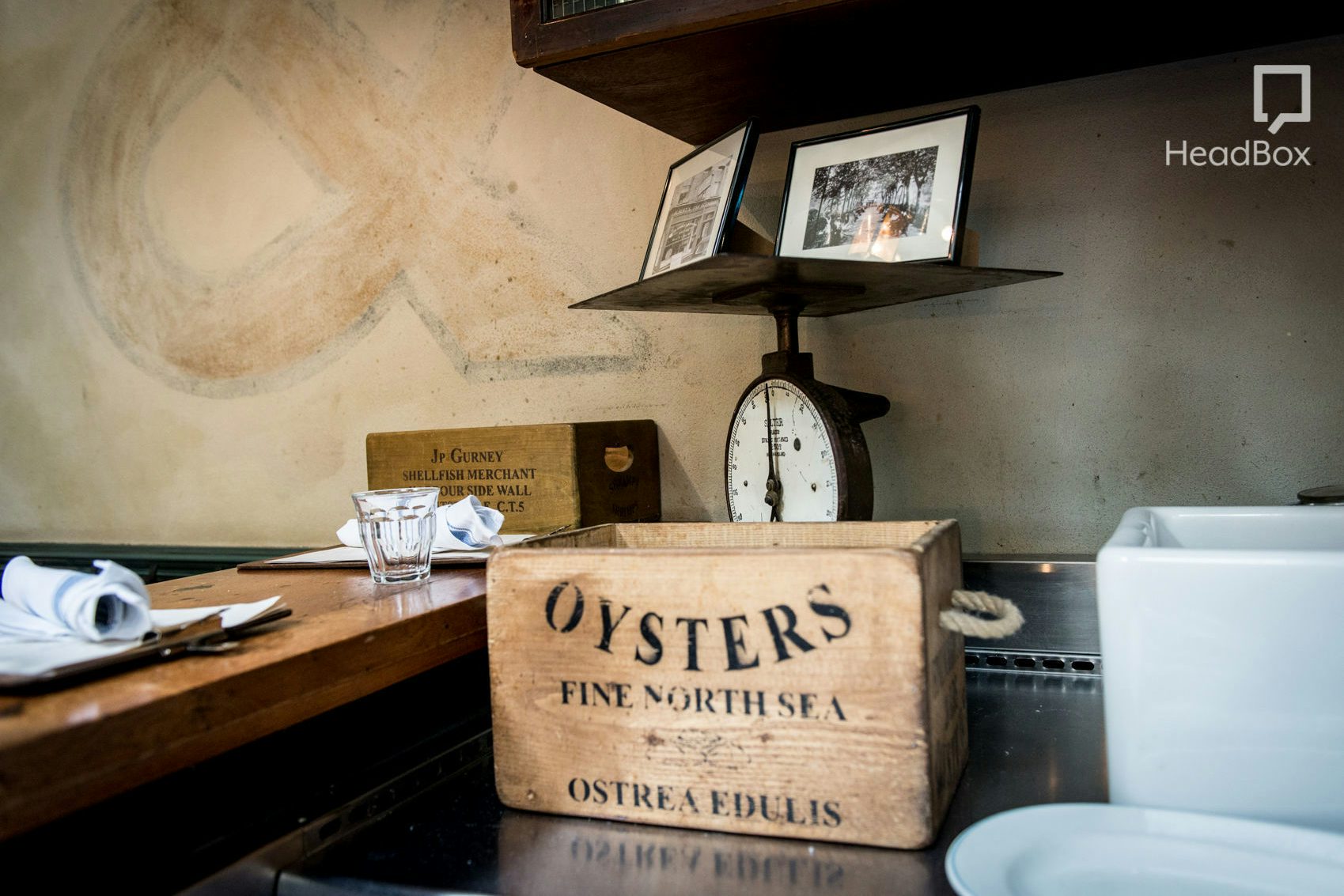 Stranger in a Strange Land 1