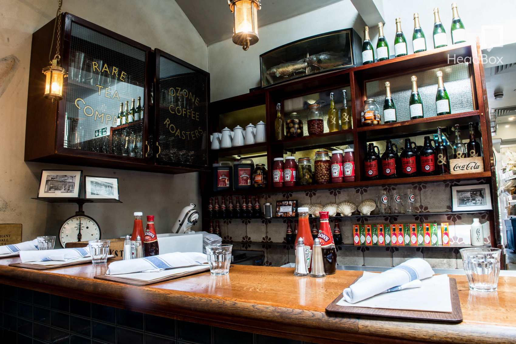 Stranger in a Strange Land 4