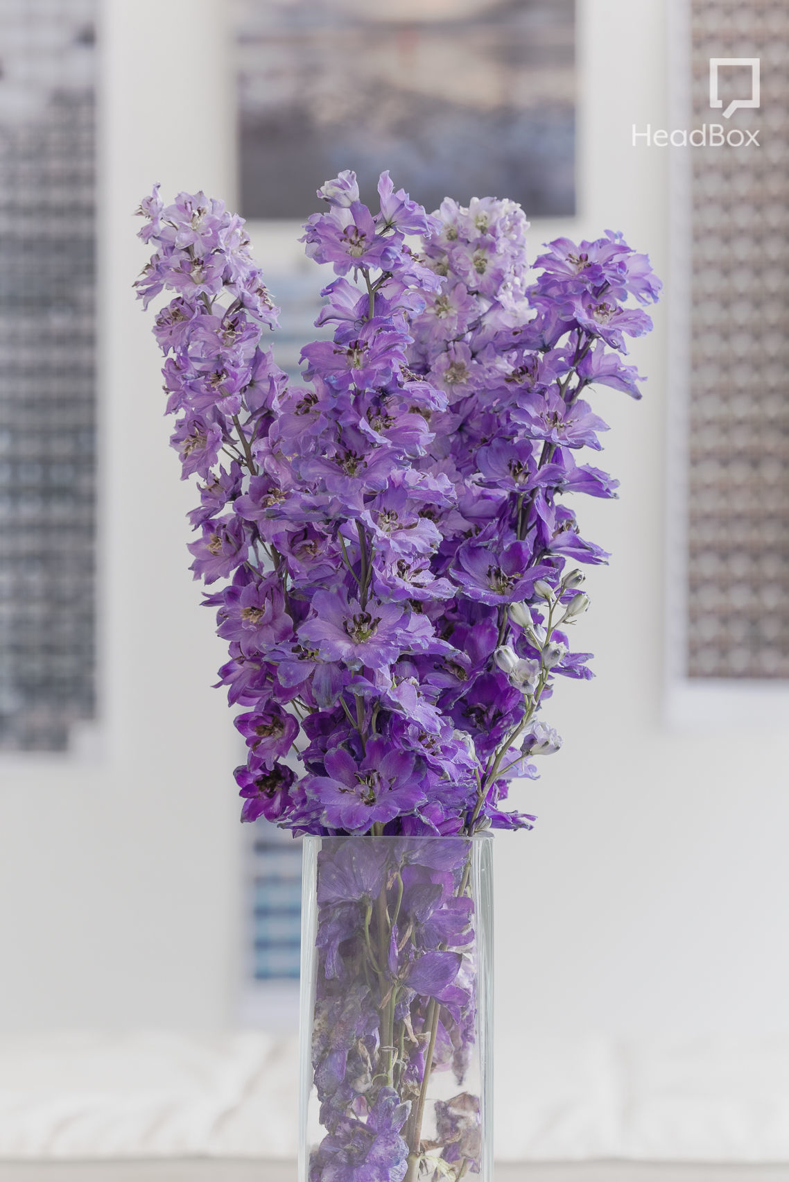 A Monstrous Regiment of Women 10