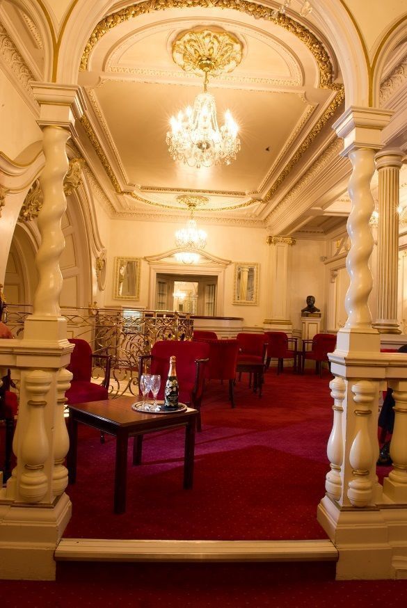 I Know Why the Caged Bird Sings 2