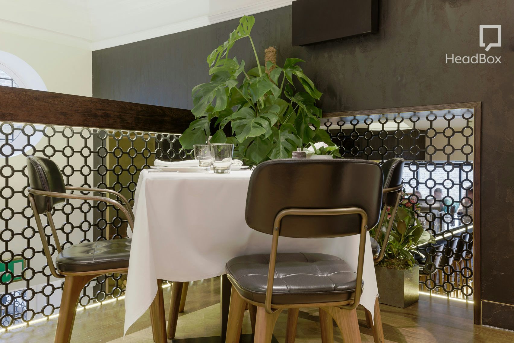 His Dark Materials 1