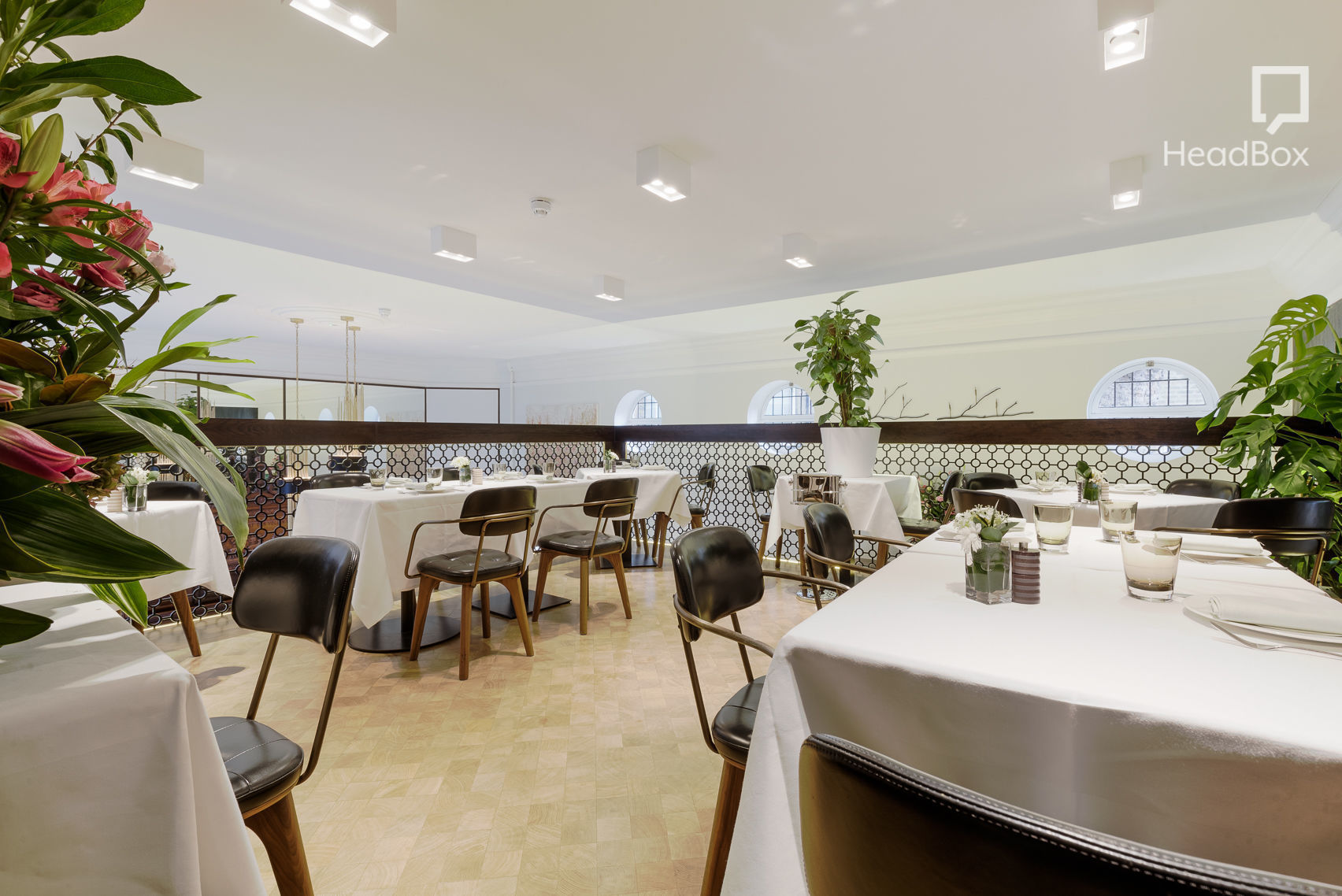 His Dark Materials 4