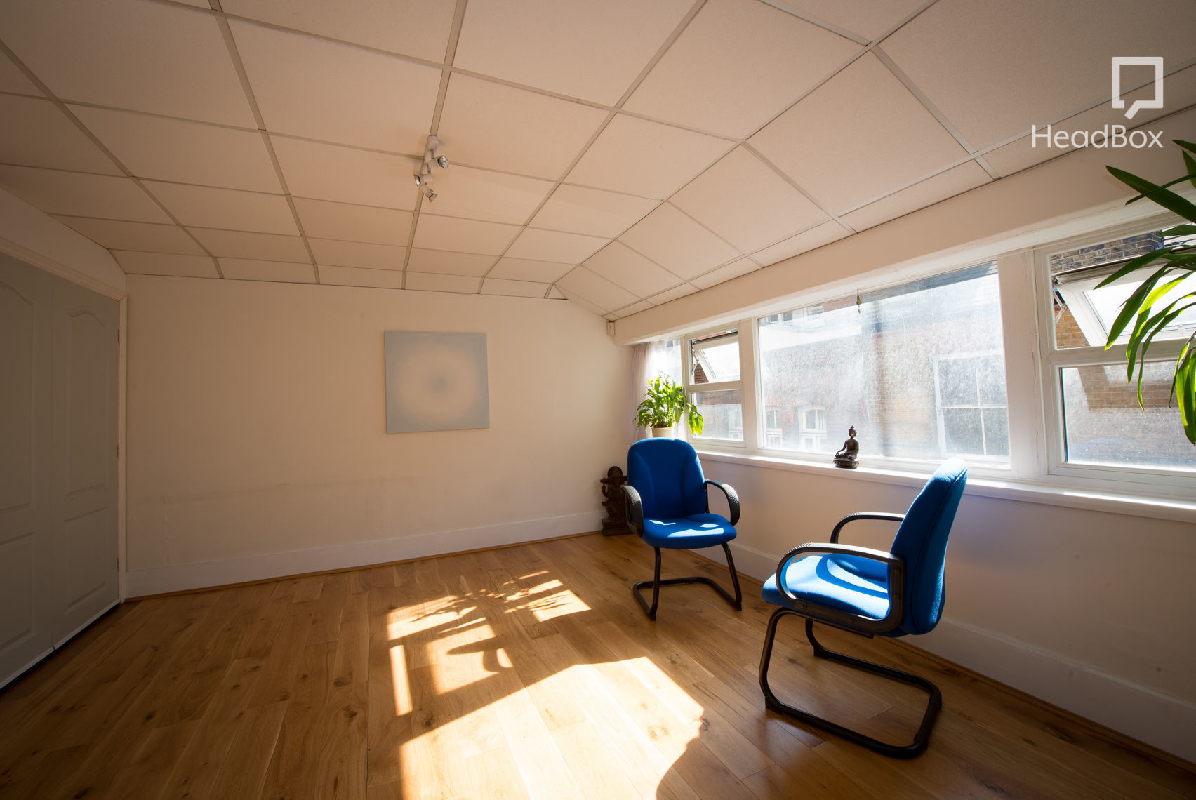 A Confederacy of Dunces 6