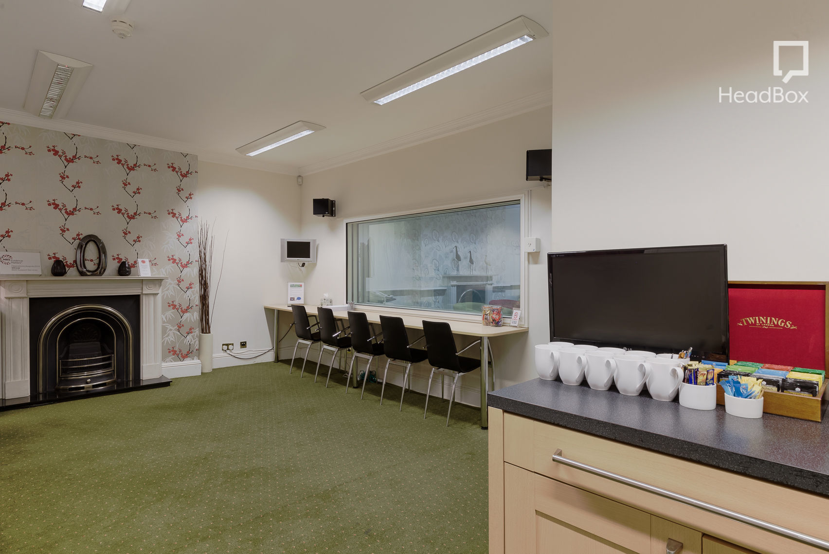 I Know Why the Caged Bird Sings 7