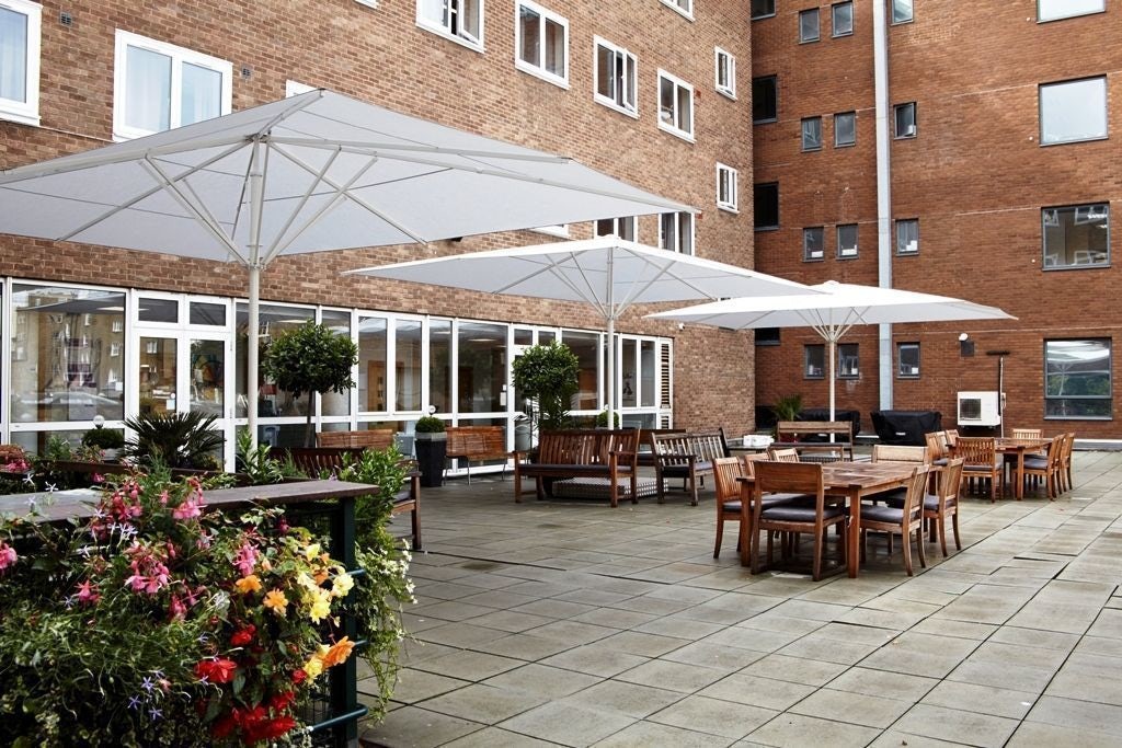 Consider the Lilies 0