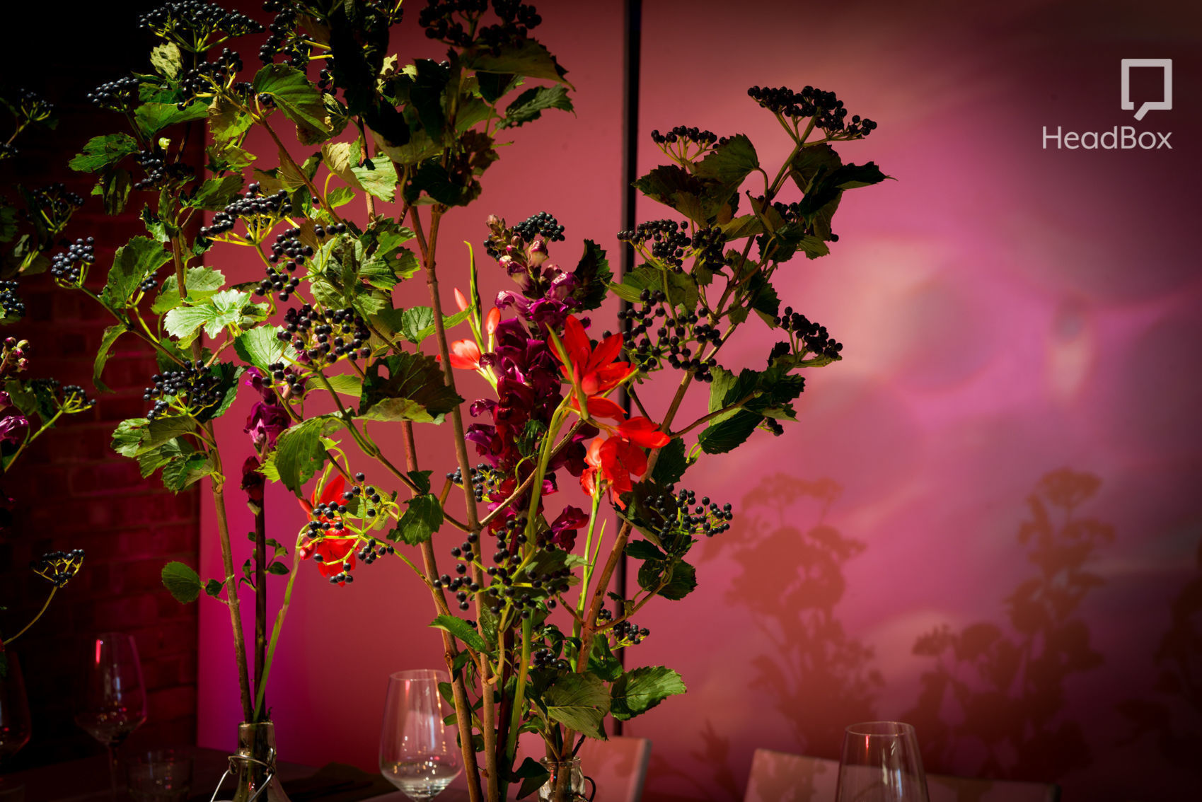 A Glass of Blessings 4