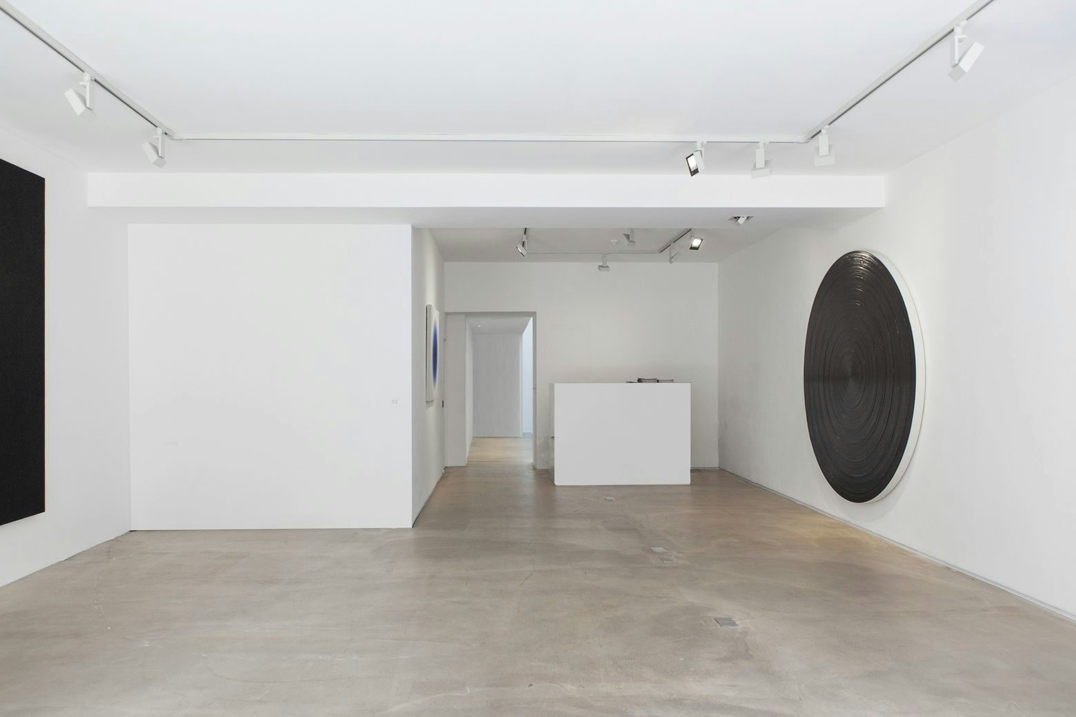 Consider the Lilies 0