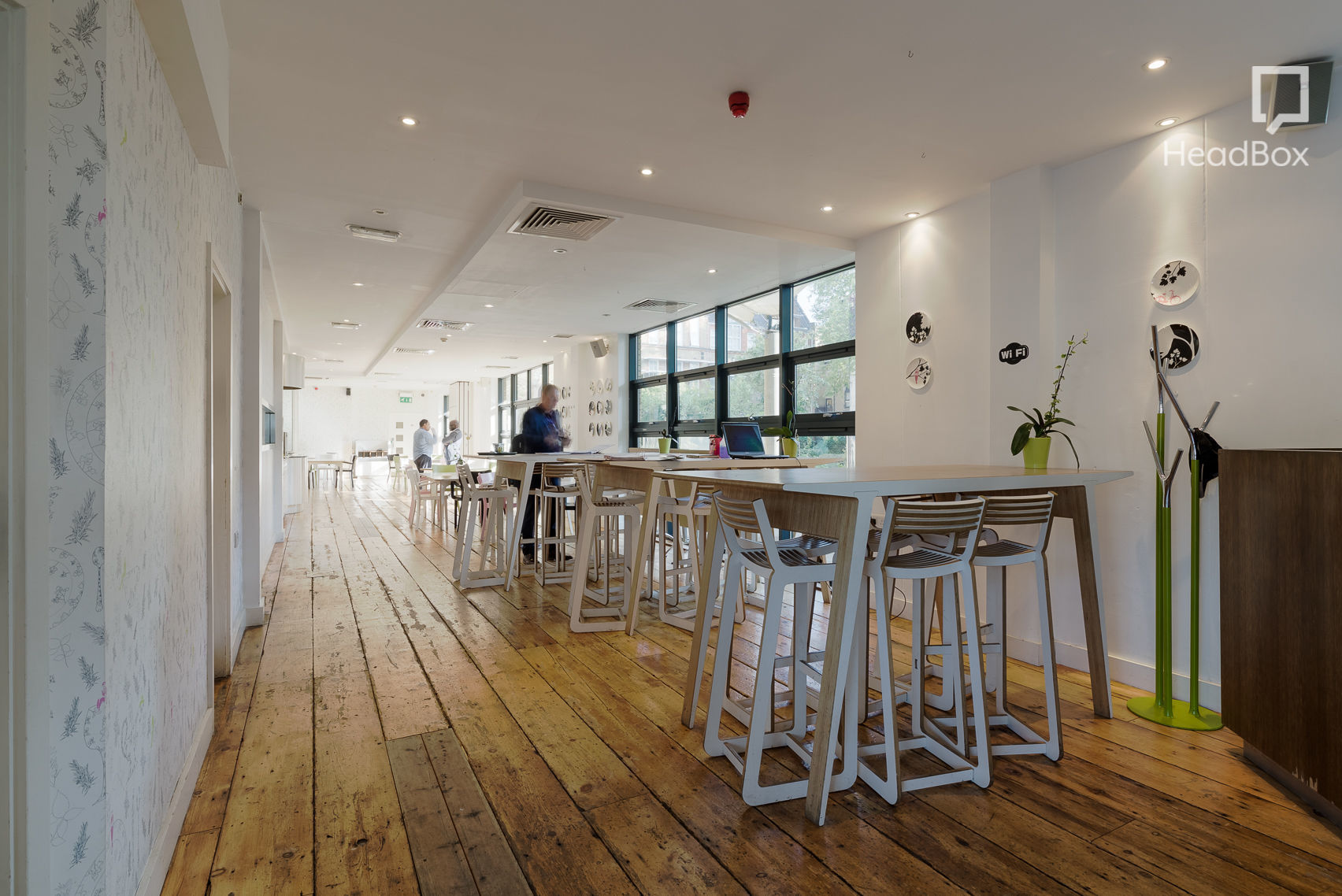 Cabbages and Kings 3