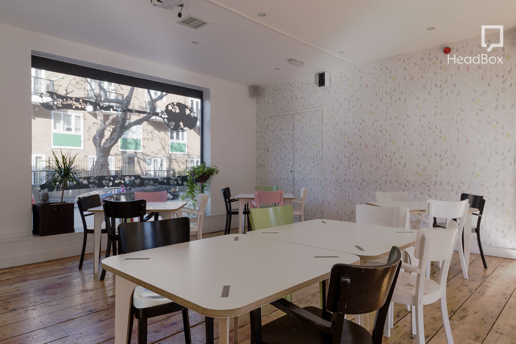 Consider the Lilies 5