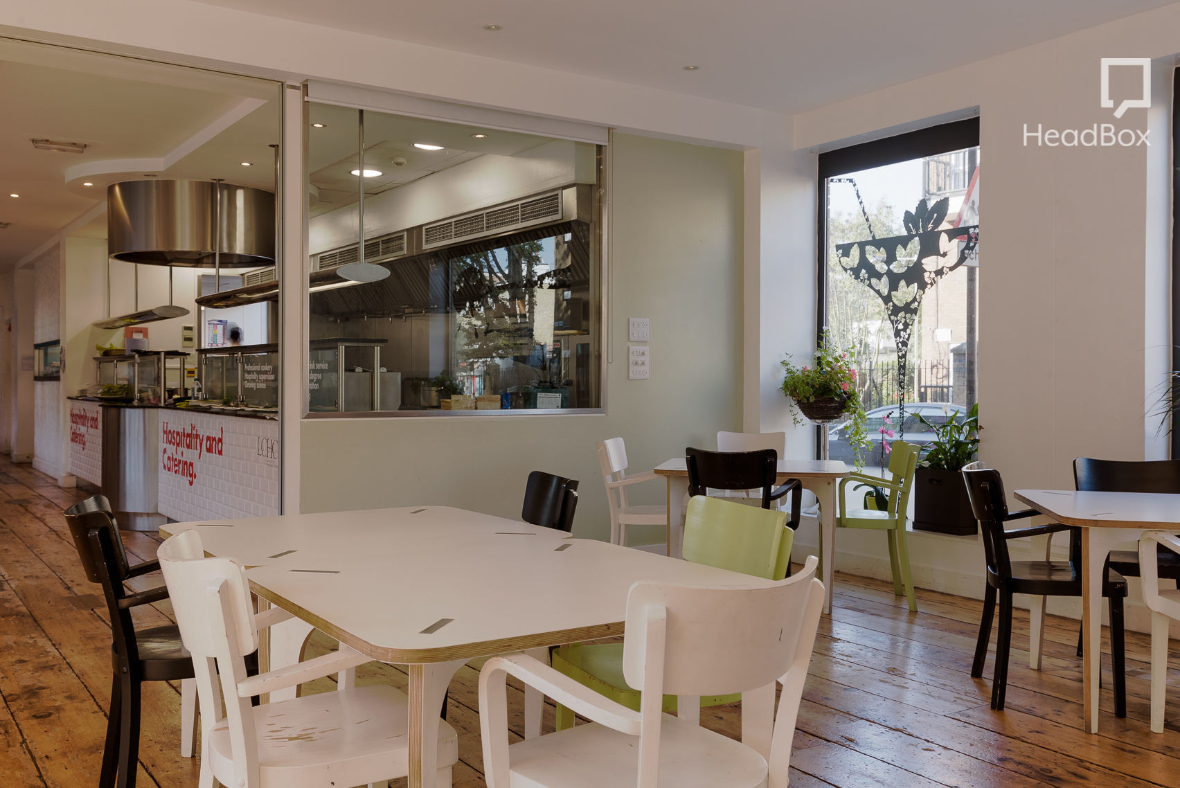 Consider the Lilies 9